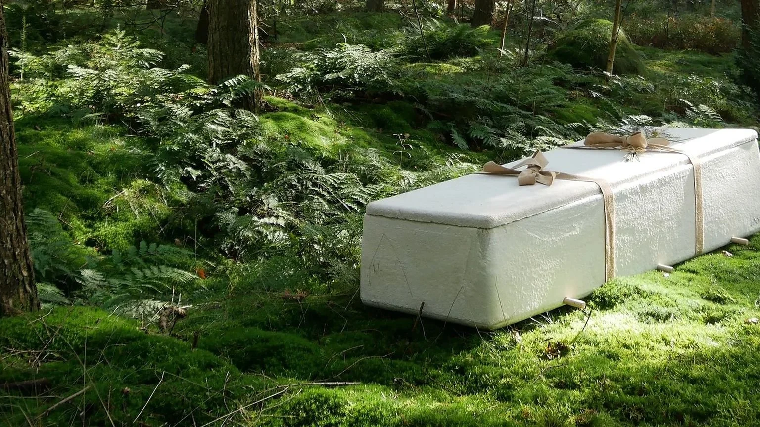 Een wit object in een bos met groene vegetatie, mogelijk een gestyleerde sculptuur of grote decoratie, vastgebonden met beige linten.