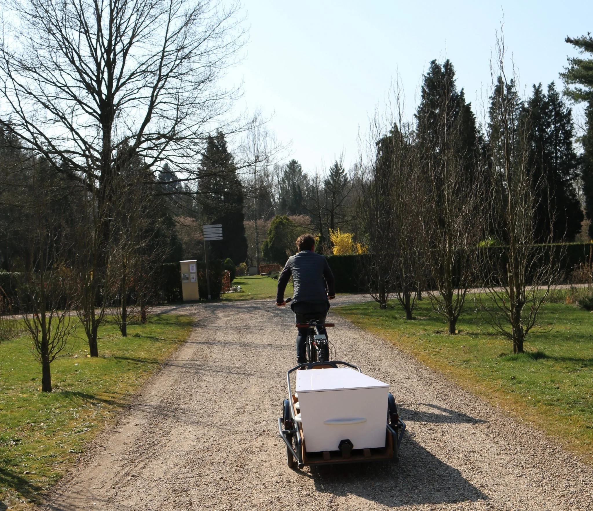 Man fietst op een gravelweg in een park met bladloze bomen en lage struiken onder een heldere blauwe hemel.