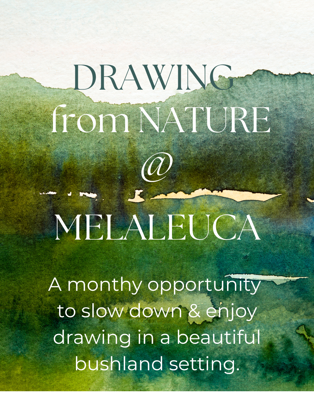 Drawing from Nature at Melaleuca