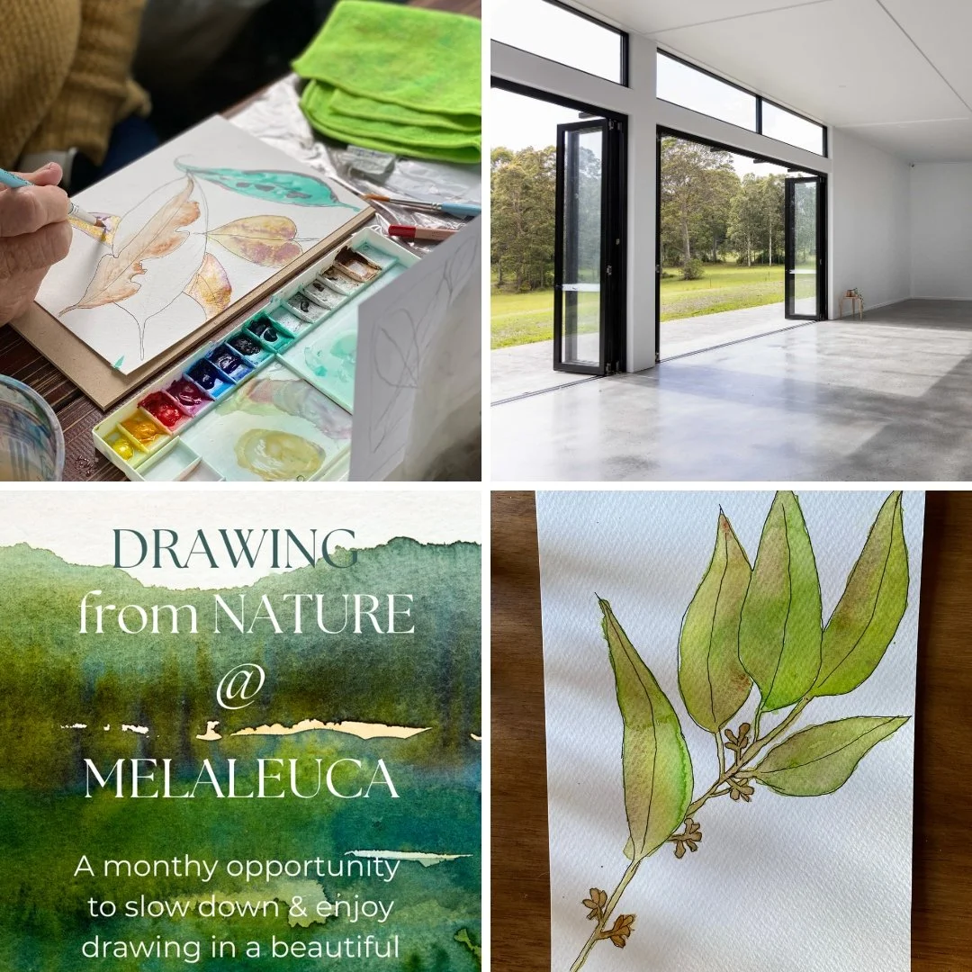 Drawing from Nature at Melaleuca 