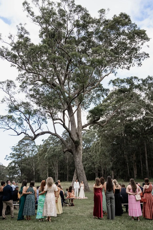Outdoor wedding ceremony under a large tree with guests standing on the grass.