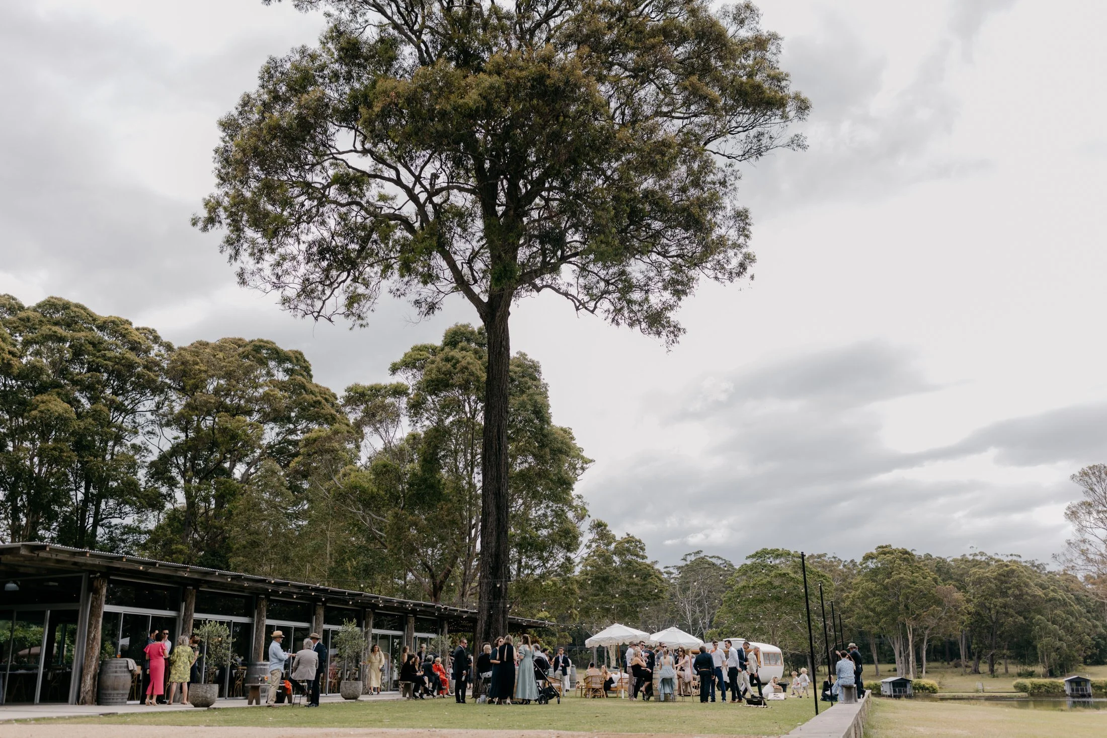 Outdoor social gathering near a large tree, with people under umbrellas and a structure in the background.