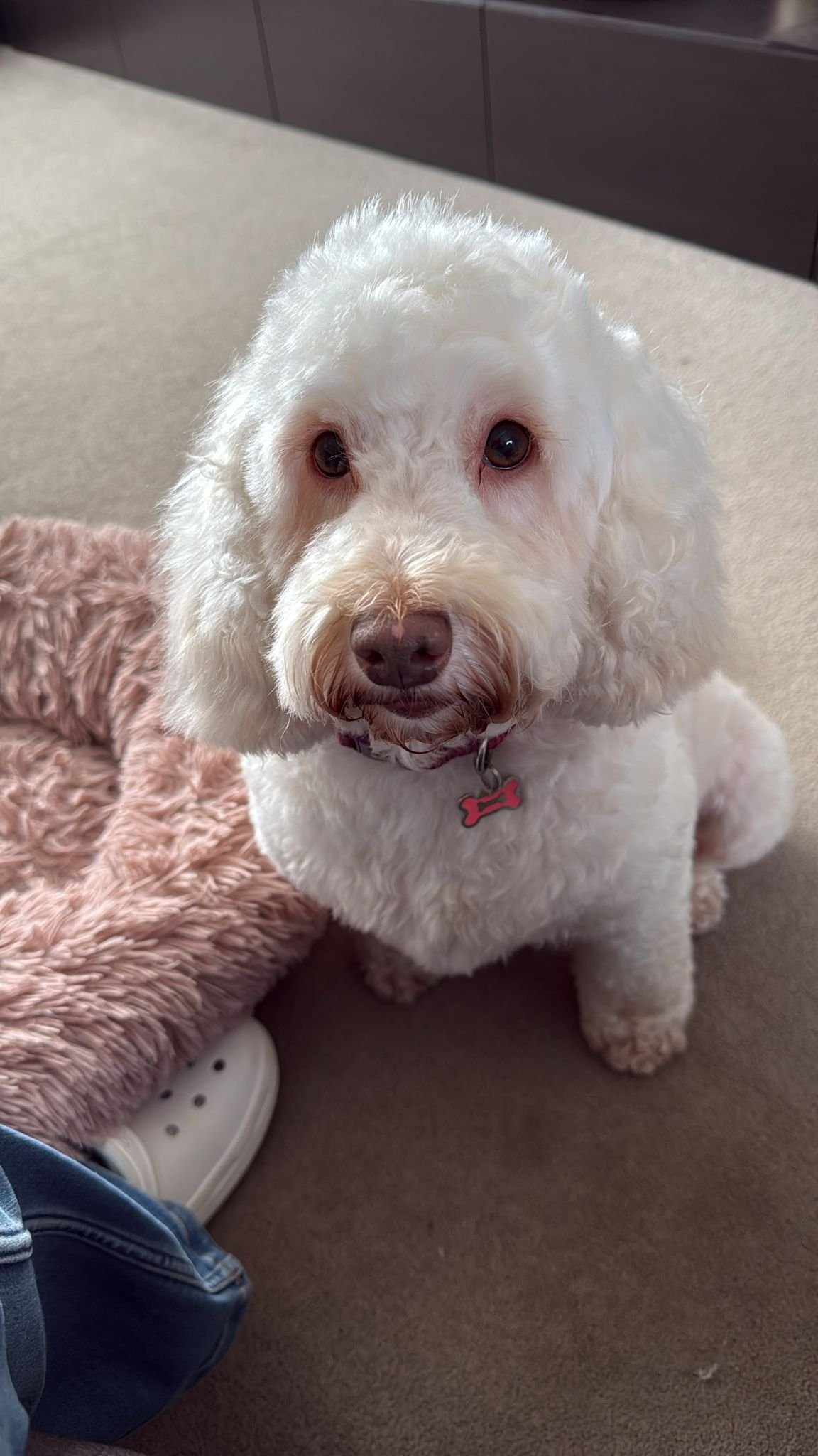 WhatsApp Image 2026-01-30 at 13.32.12.jpeg