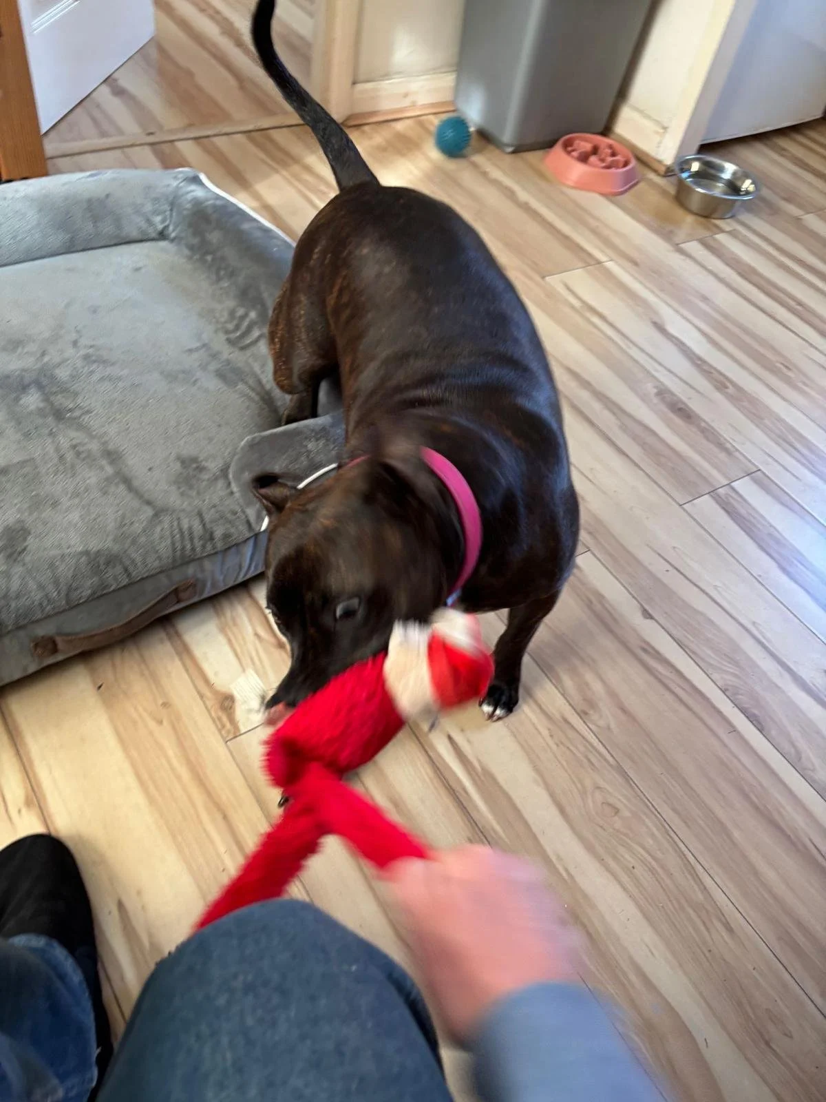 WhatsApp Image 2026-01-31 at 14.30.05 (3).jpeg