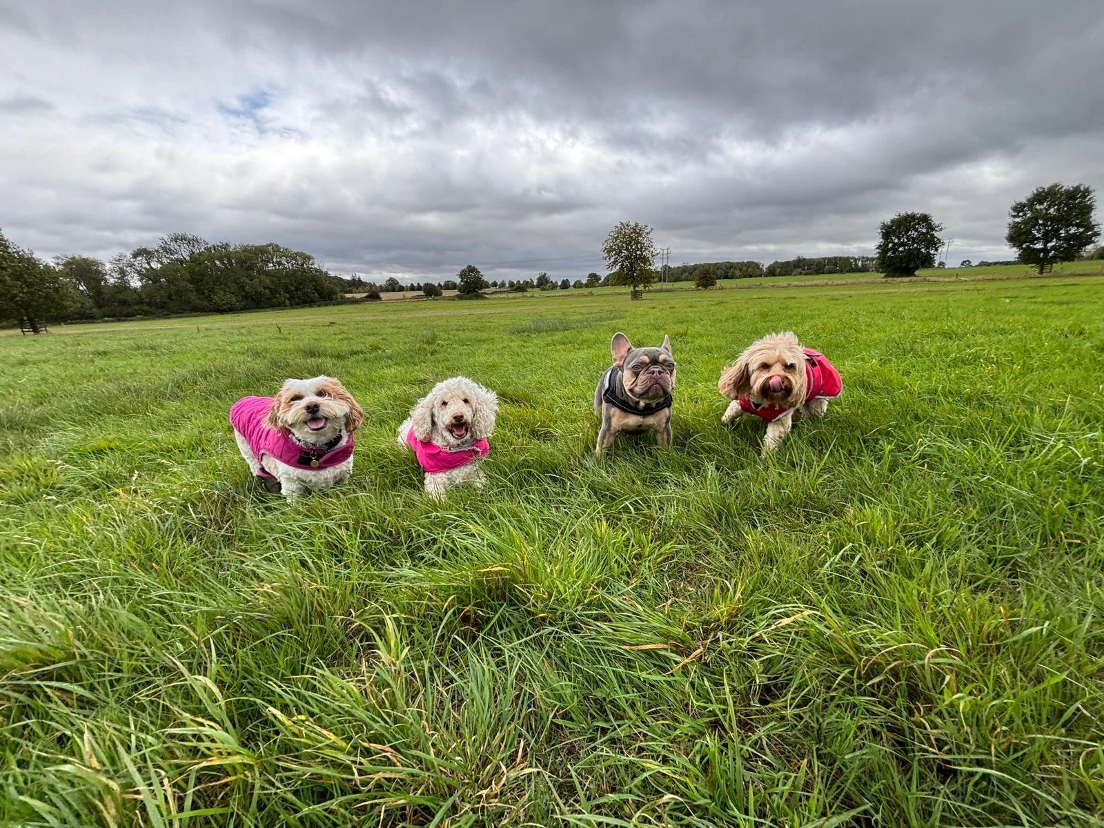 WhatsApp Image 2025-09-17 at 12.58.56.jpeg