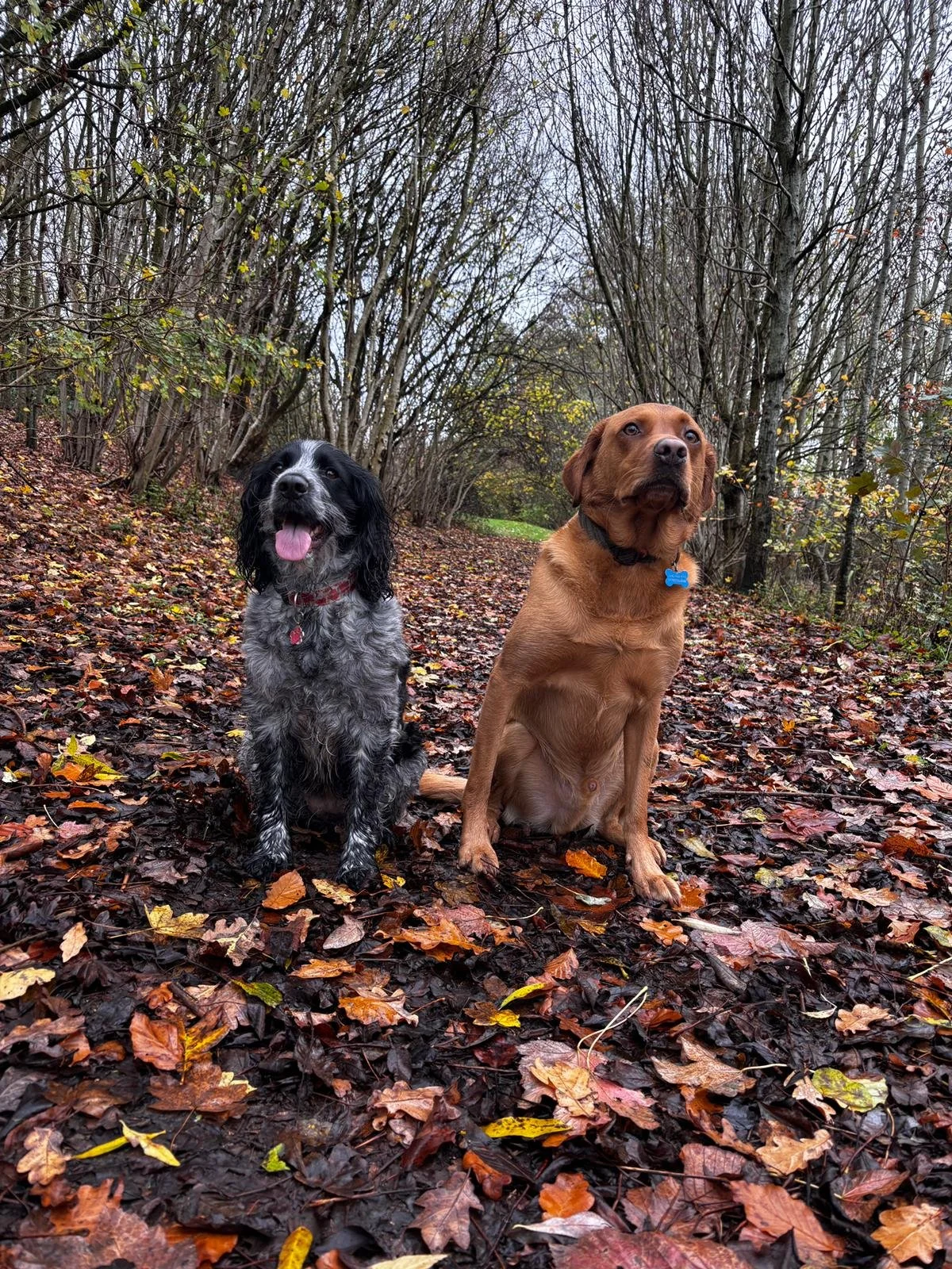 WhatsApp Image 2025-11-12 at 12.27.42.jpeg