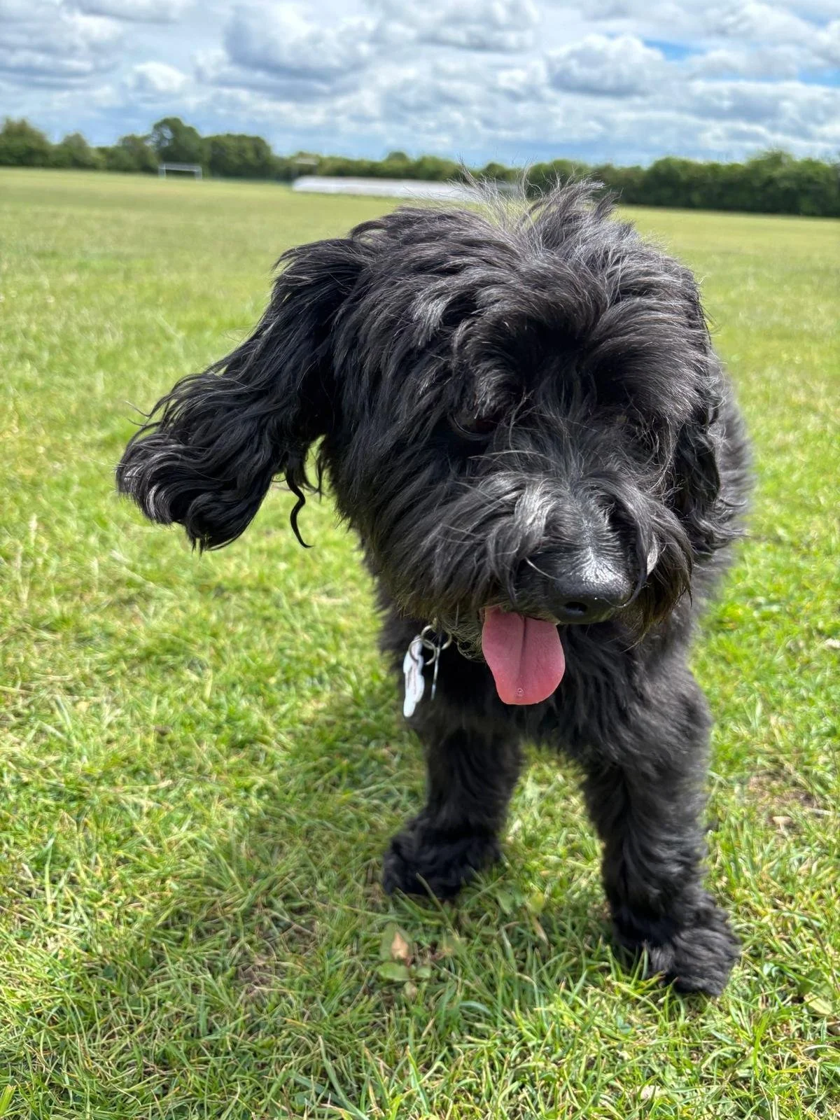 WhatsApp Image 2026-01-31 at 14.30.05 (9).jpeg