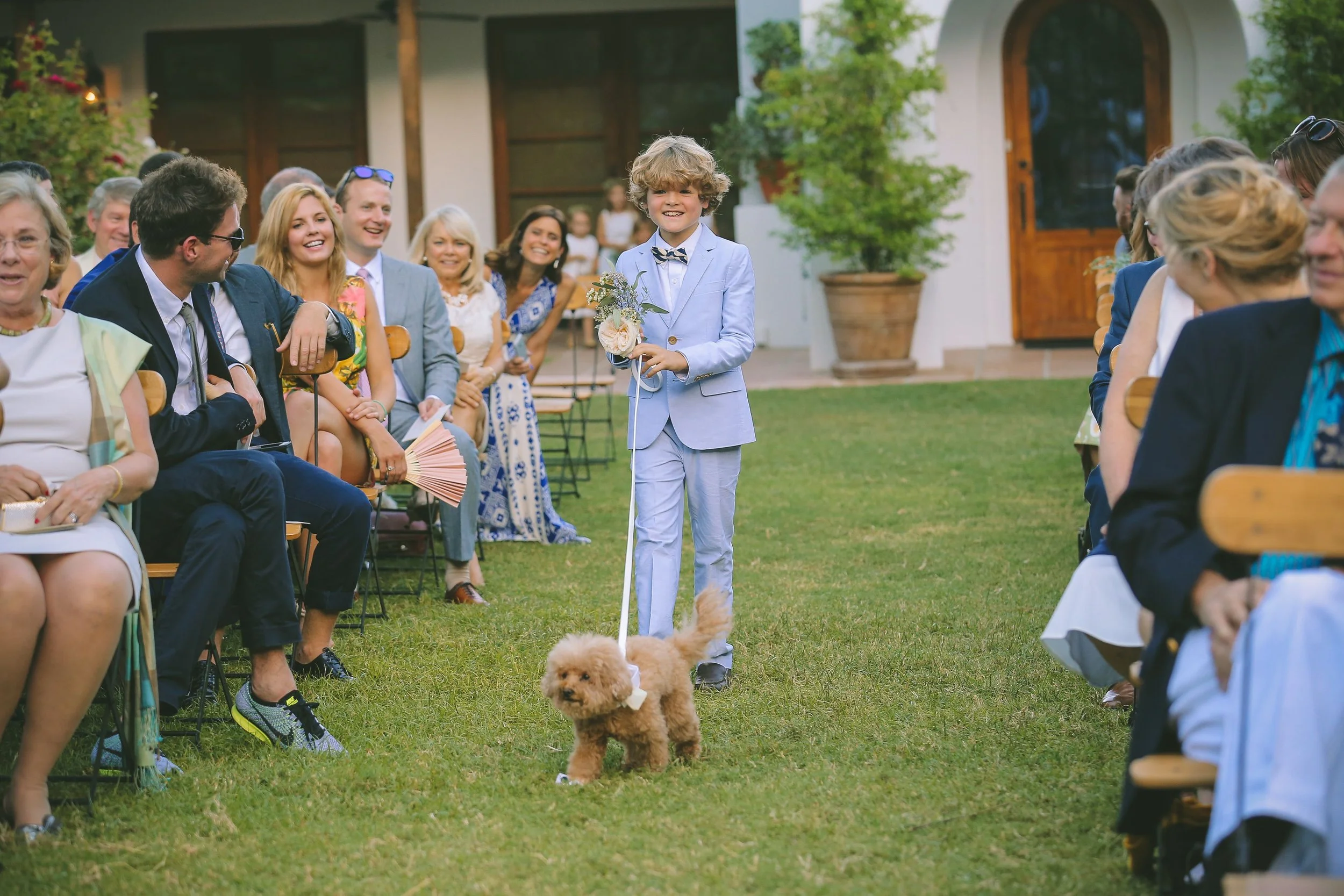 dog-at-wedding-ring-bearer-gather-events-dennis-kwan-photography.jpg