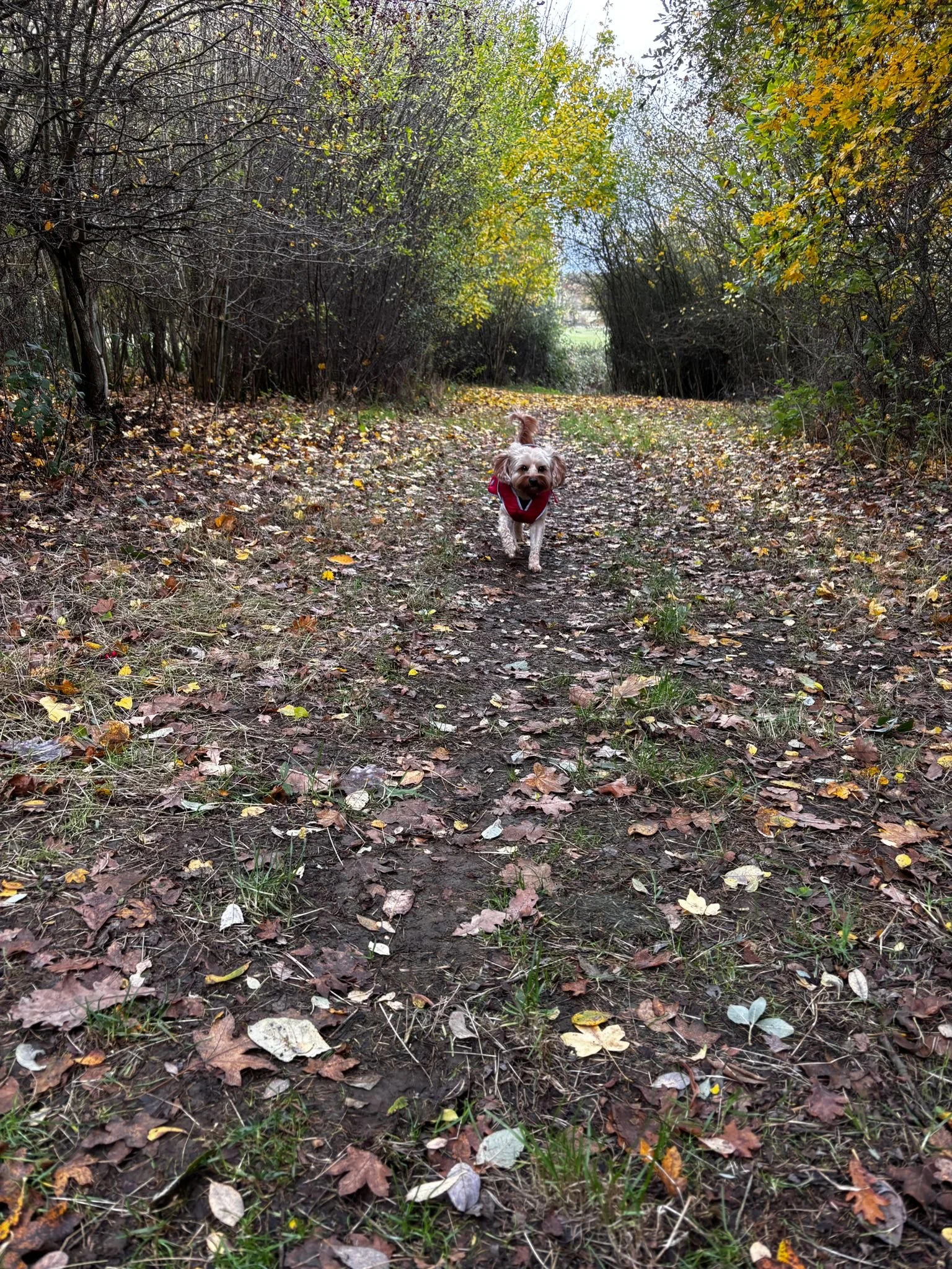 WhatsApp Image 2025-10-26 at 13.11.51 (1).jpeg