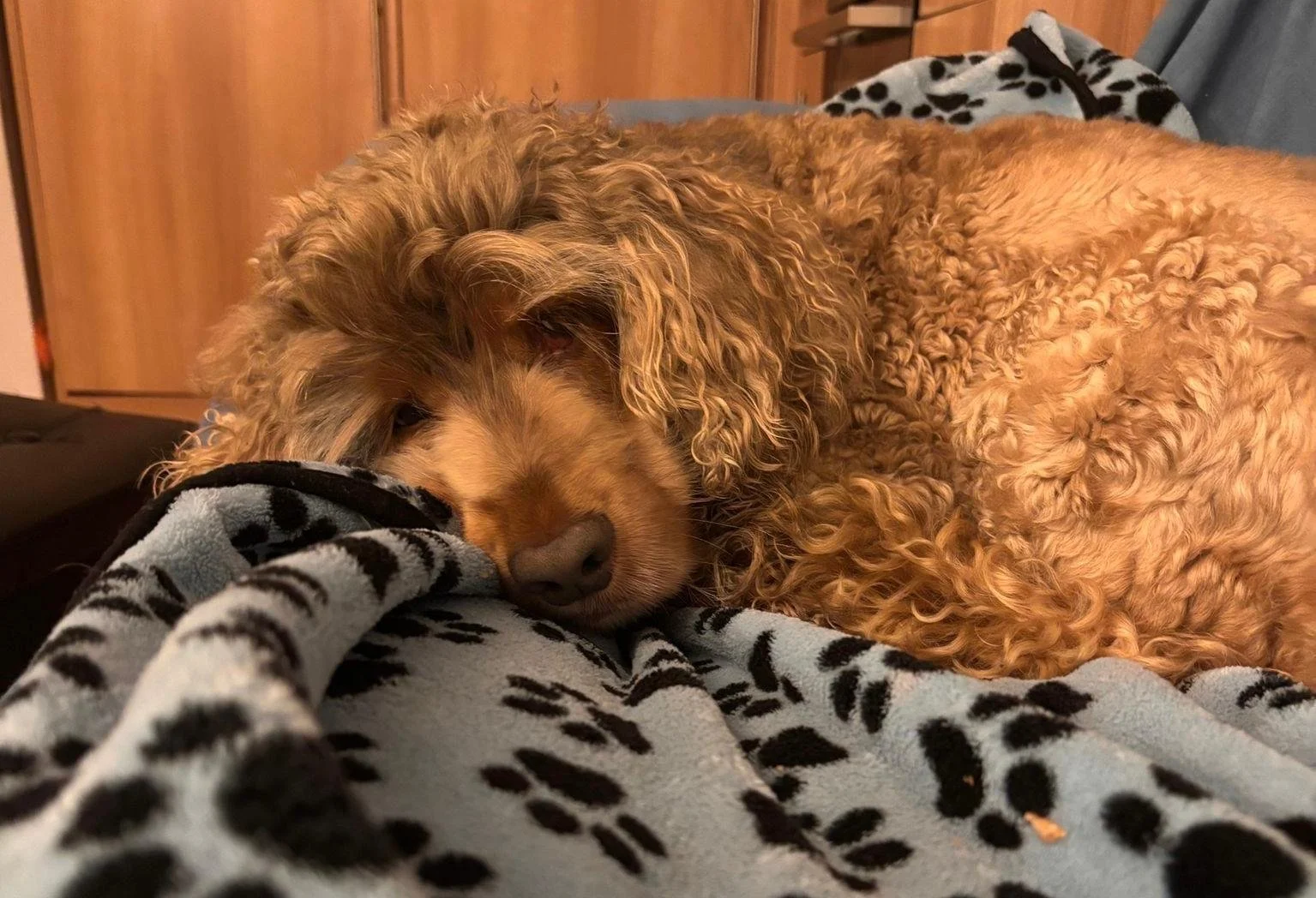 WhatsApp Image 2026-01-31 at 14.30.05 (16).jpeg