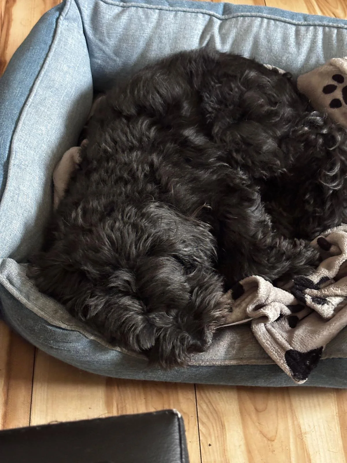 WhatsApp Image 2026-01-31 at 14.30.05 (8).jpeg