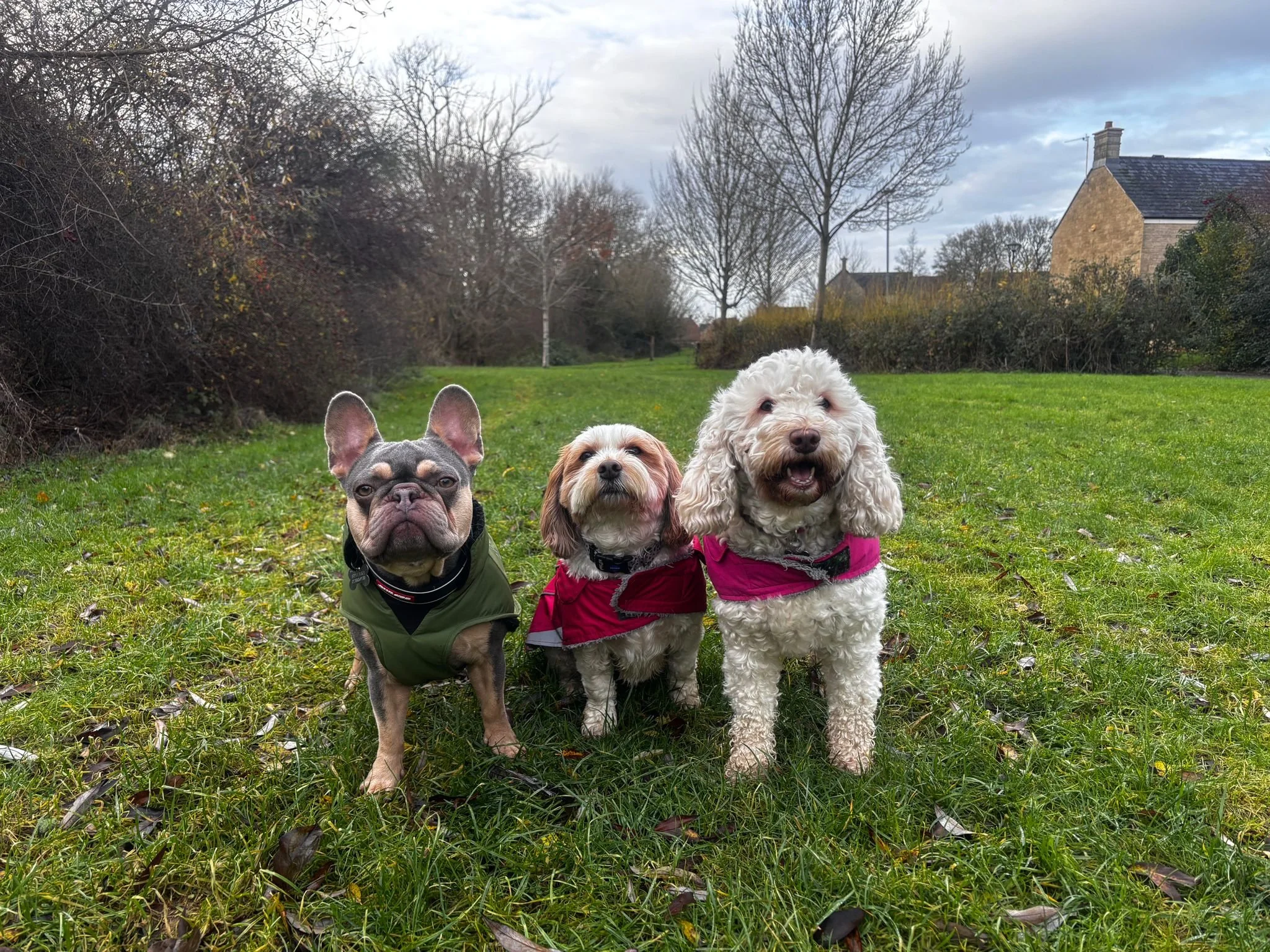 WhatsApp Image 2025-12-08 at 12.52.11.jpeg