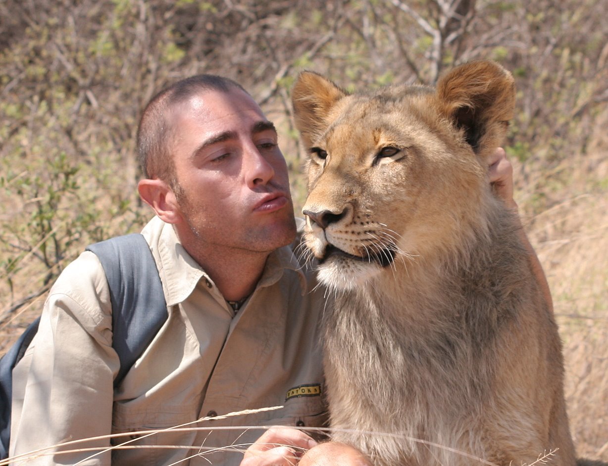 Male zookeeper petting a lion in a natural outdoor setting.