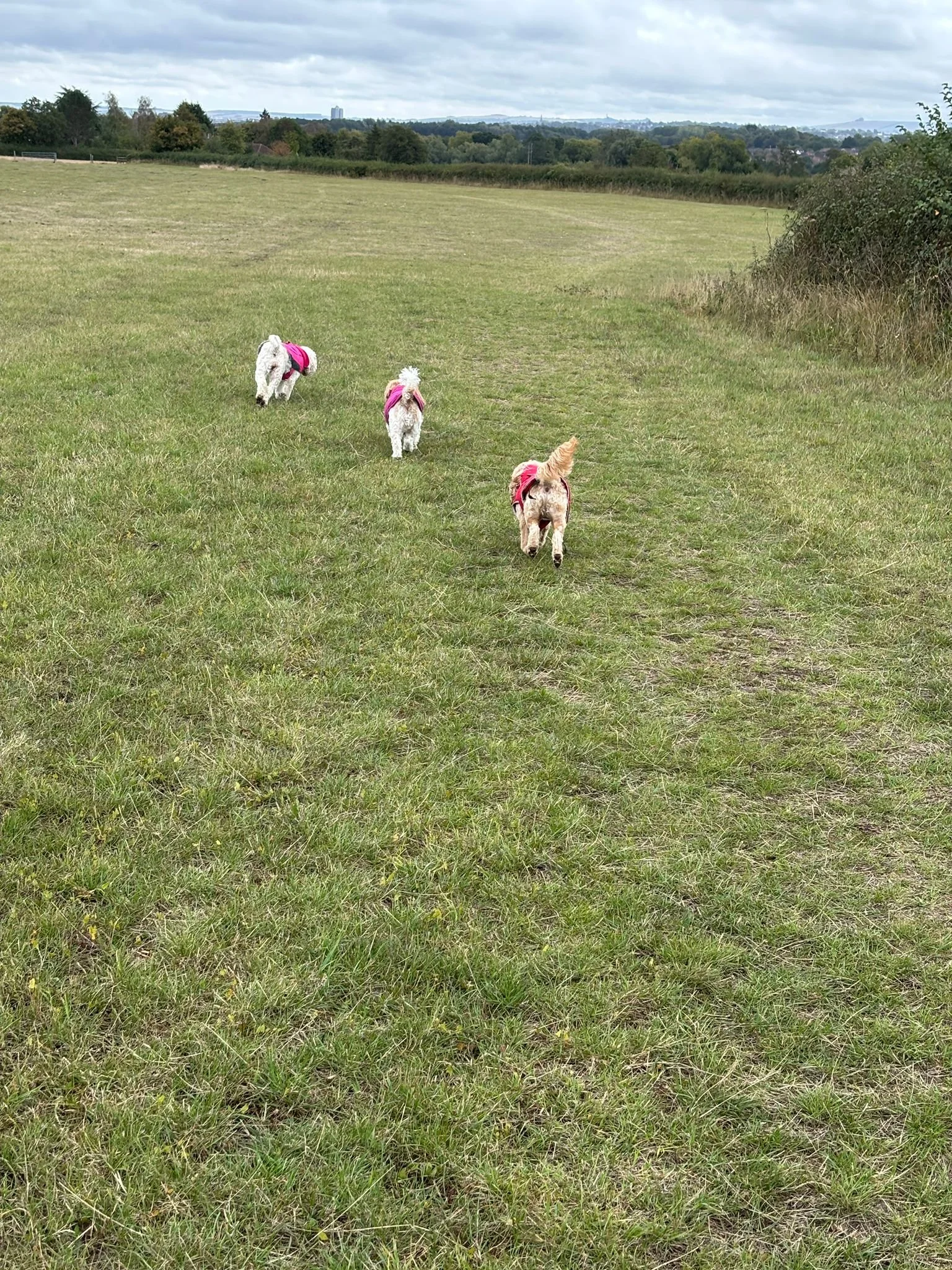 WhatsApp Image 2025-09-02 at 13.01.41.jpeg