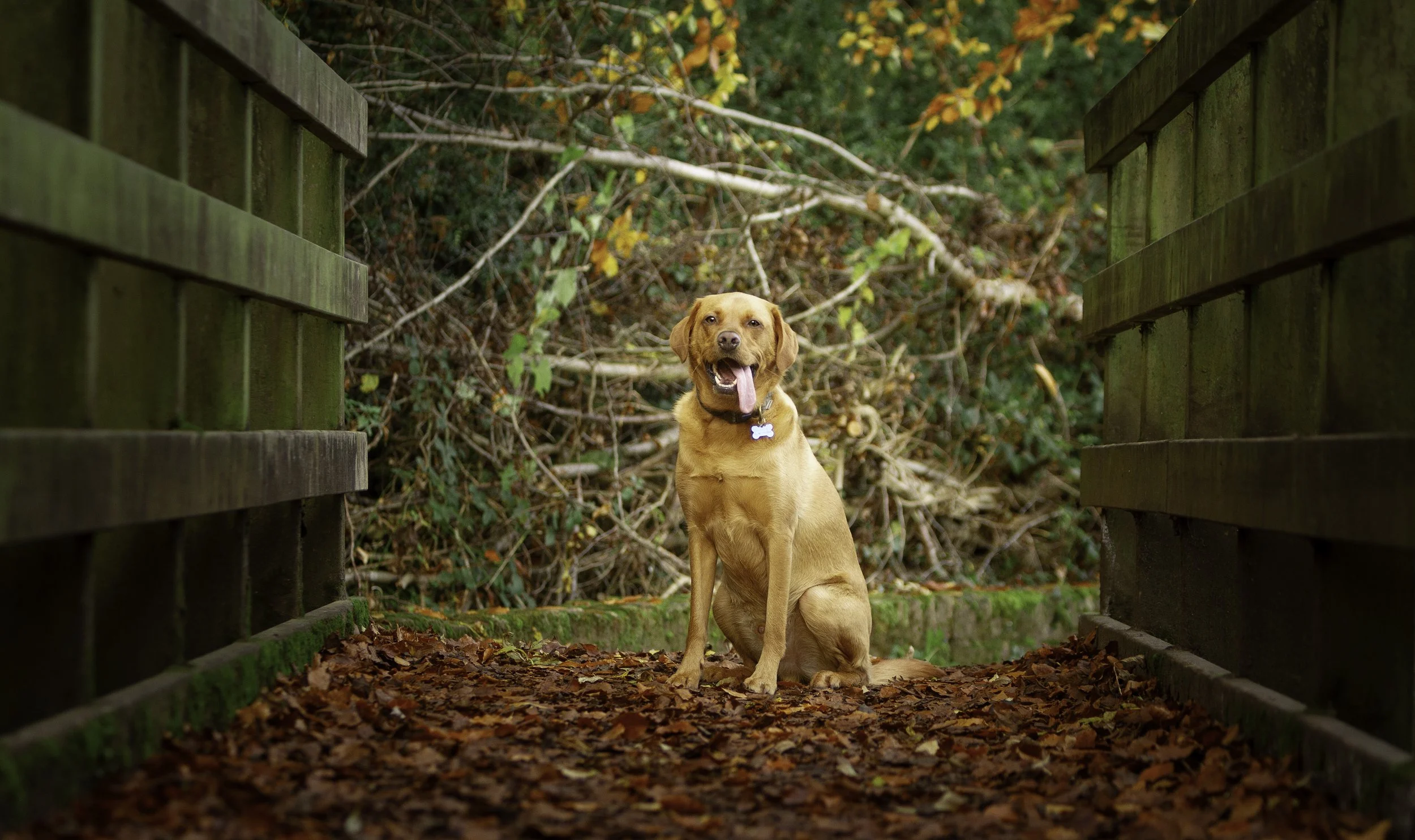 Boycie Stanton 1 large-1.jpg