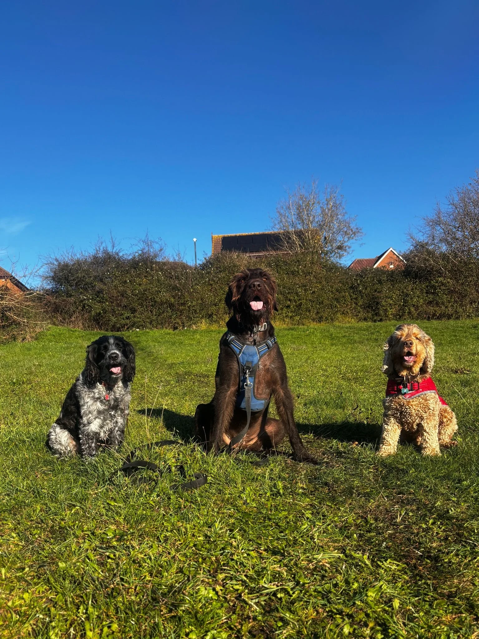 WhatsApp Image 2025-11-21 at 13.32.12.jpeg