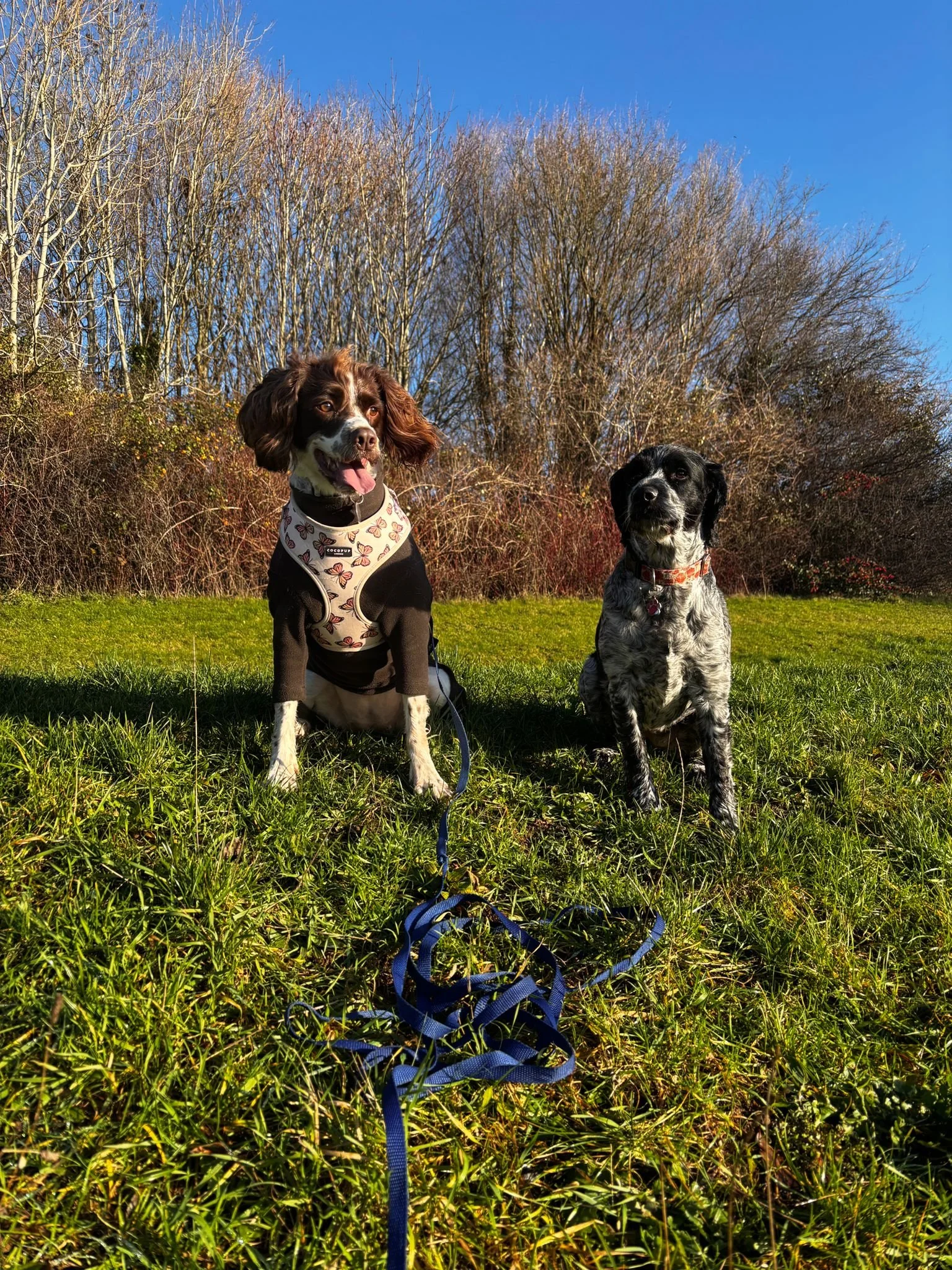 WhatsApp Image 2025-12-19 at 11.14.53.jpeg