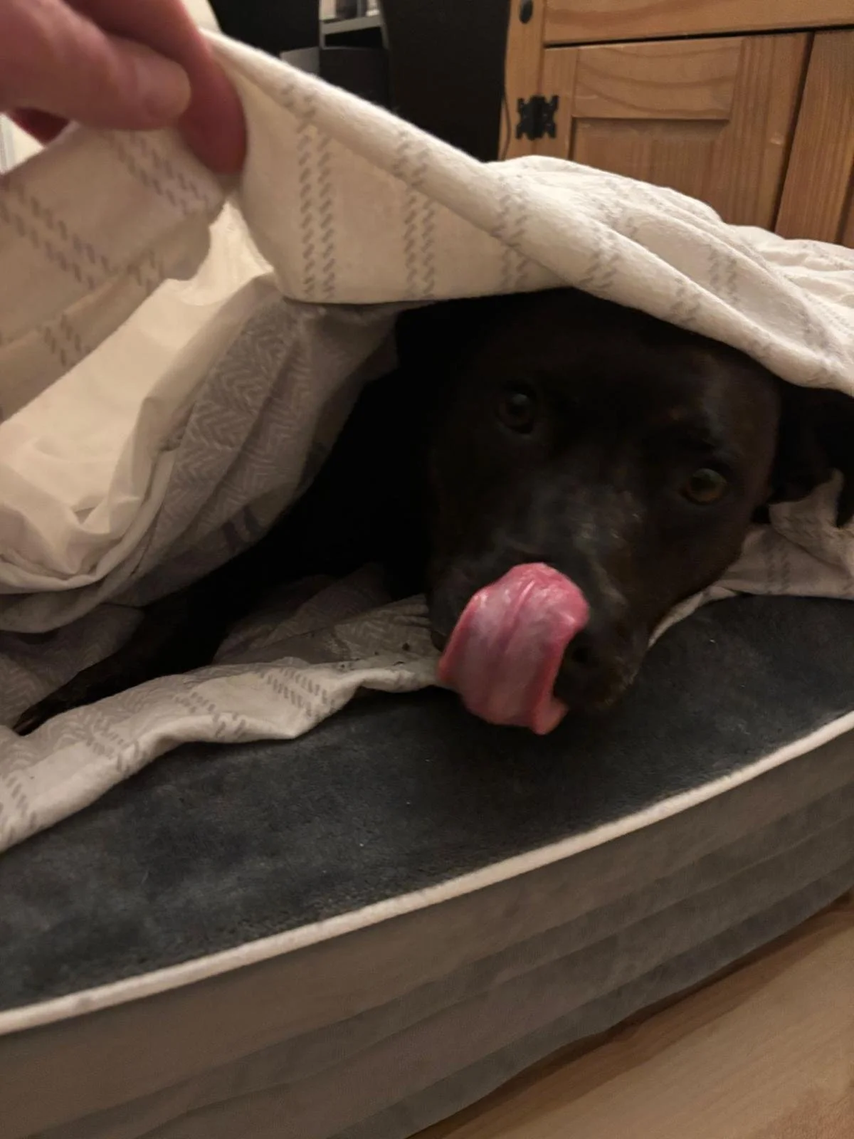 WhatsApp Image 2026-01-31 at 14.30.05 (5).jpeg