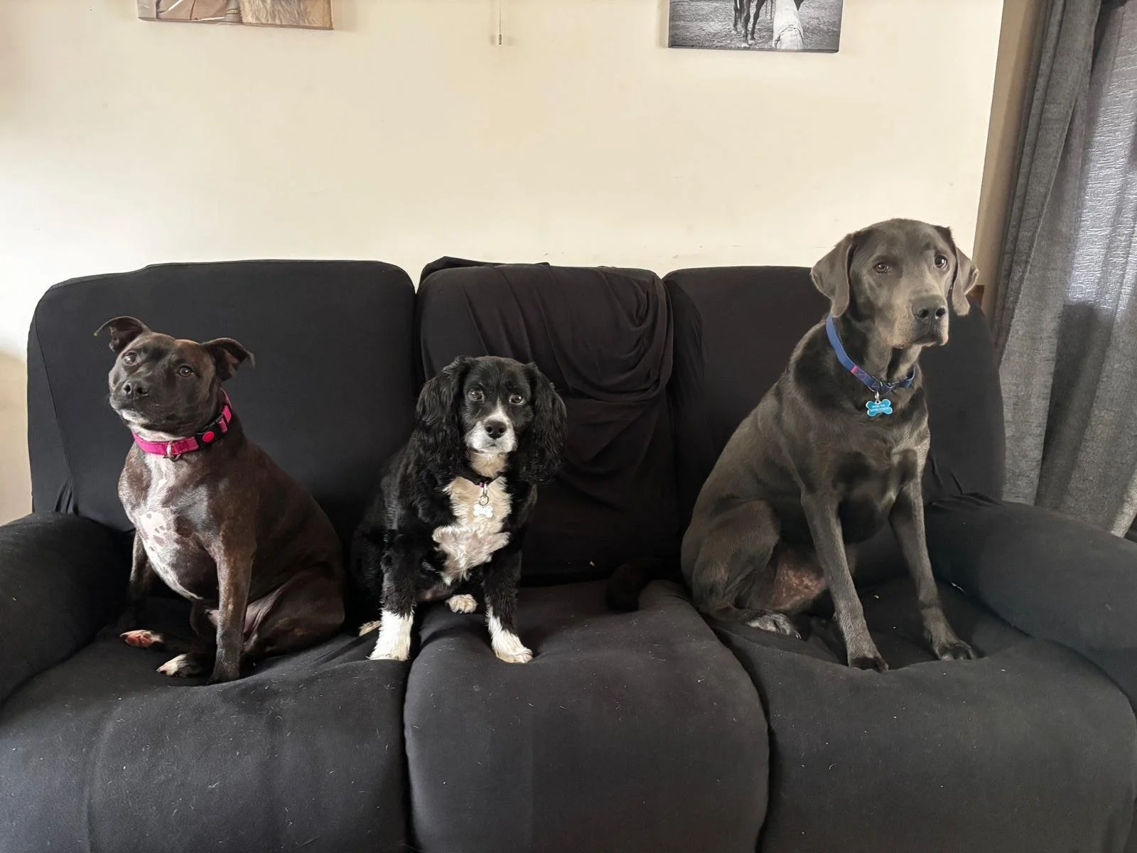 WhatsApp Image 2026-01-31 at 14.30.04 (8).jpeg