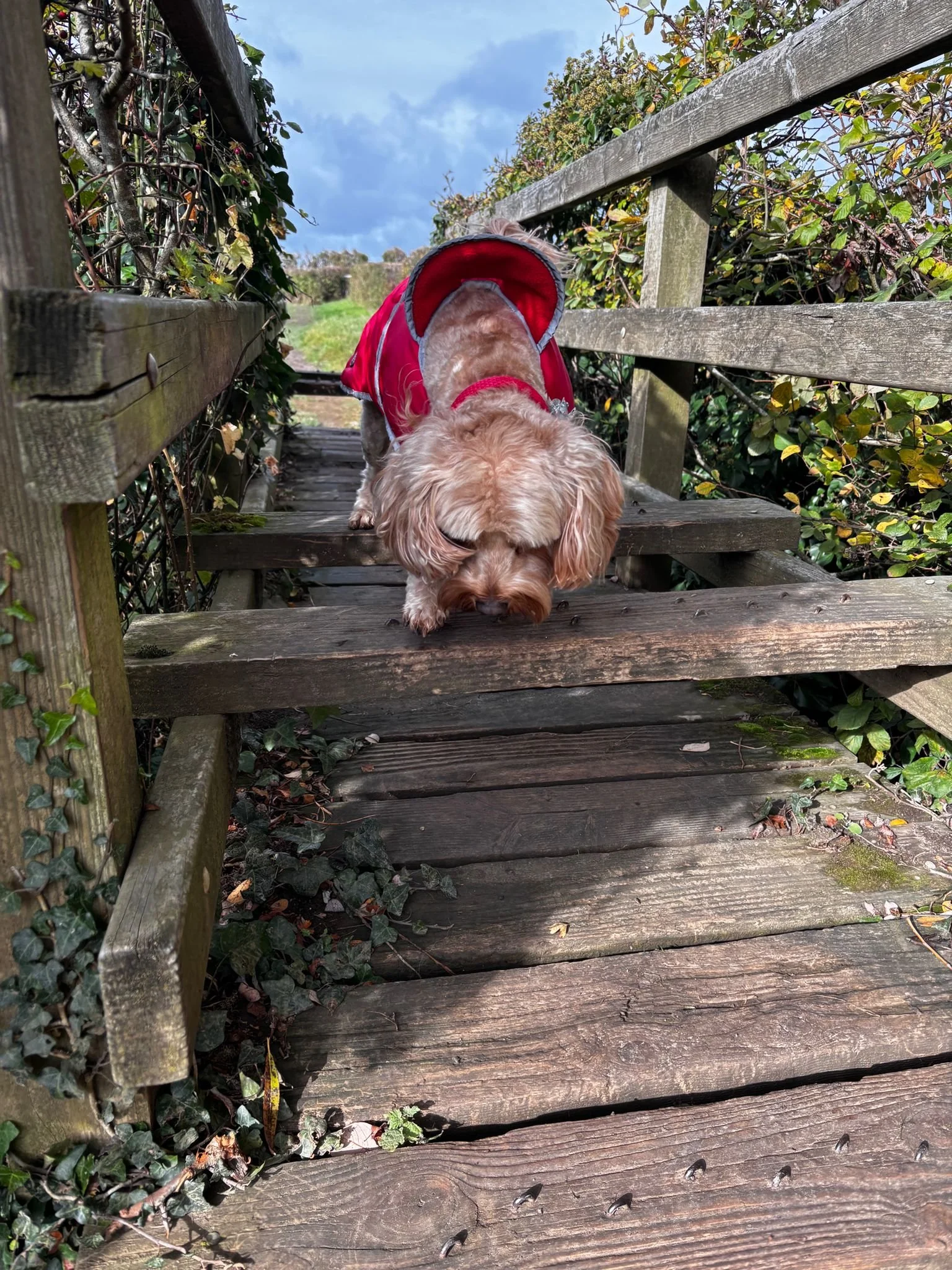 WhatsApp Image 2025-10-26 at 13.11.51.jpeg