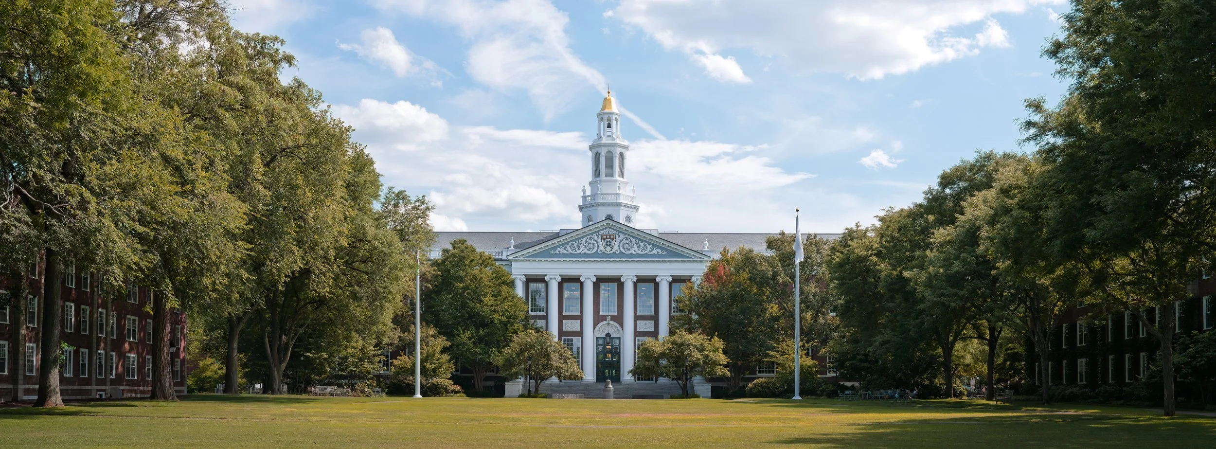 Baker Library, Harvard: A place of striving caught entirely at rest. In a series of landmarks admired from a distance, this one is lived in, the ground the artist walks as a student.