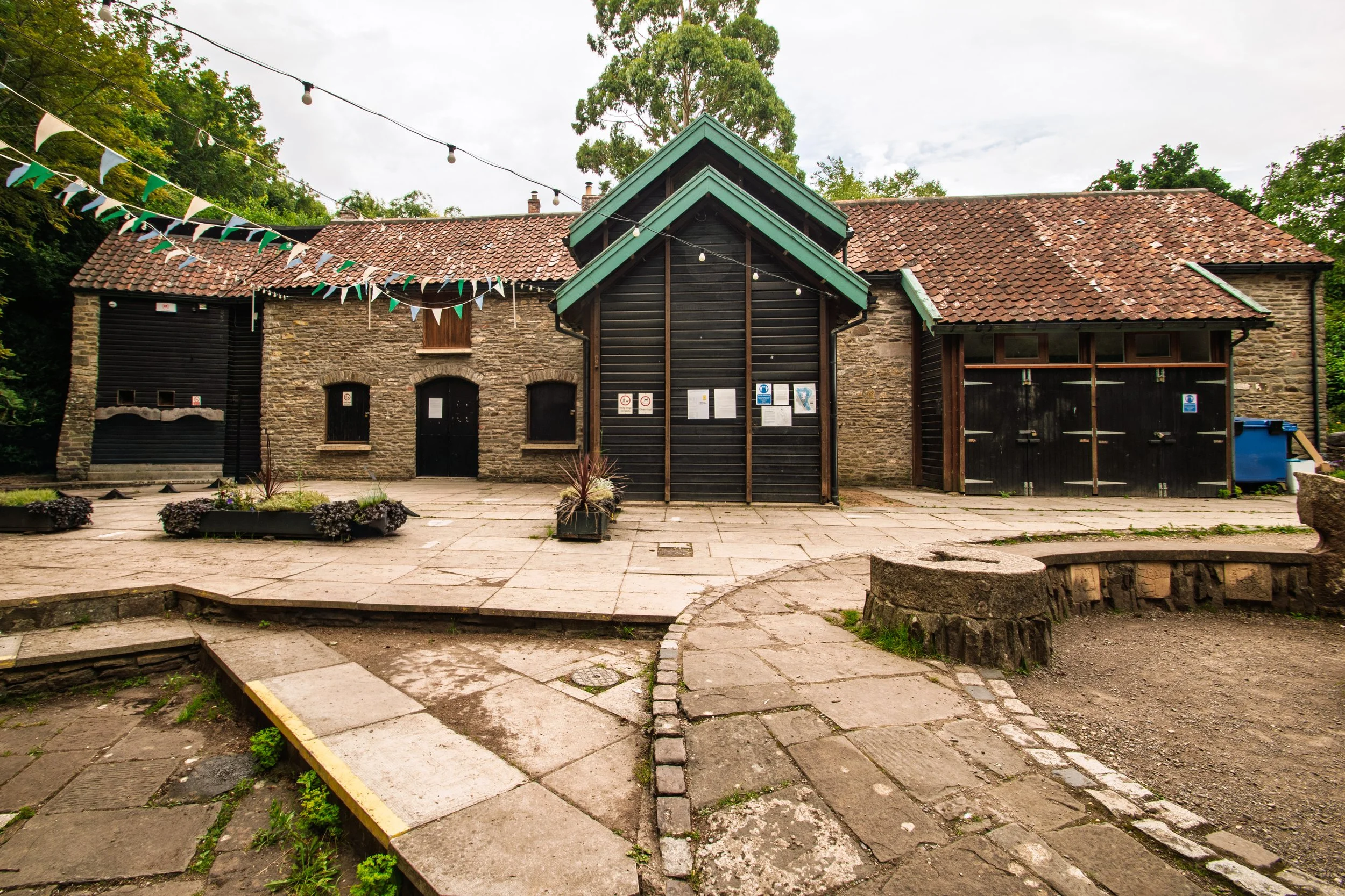 w10.jpg