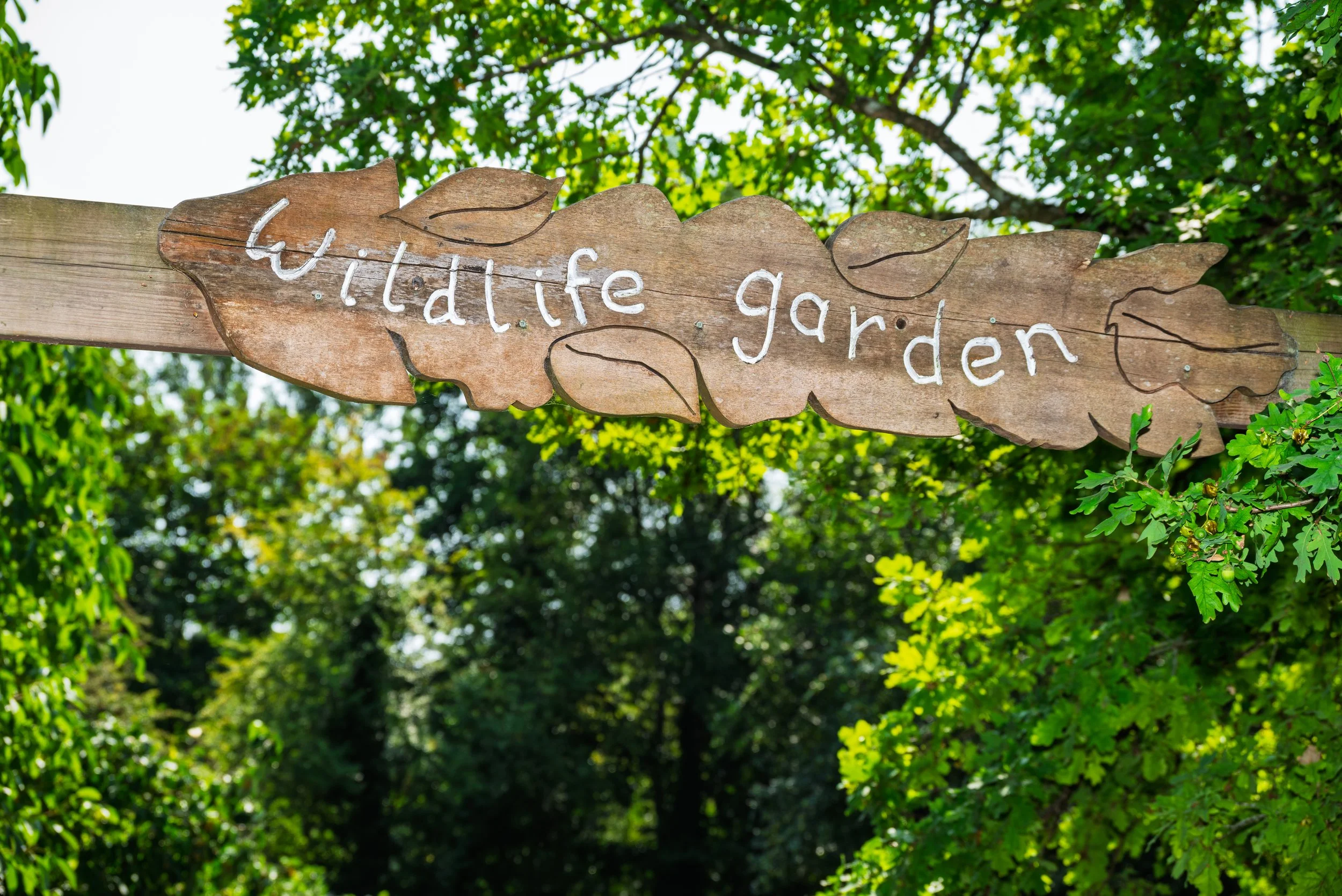 Wooden sign with leaf shapes inscribed with the words 'wildlife garden' hangs on a tree branch amid green foliage.