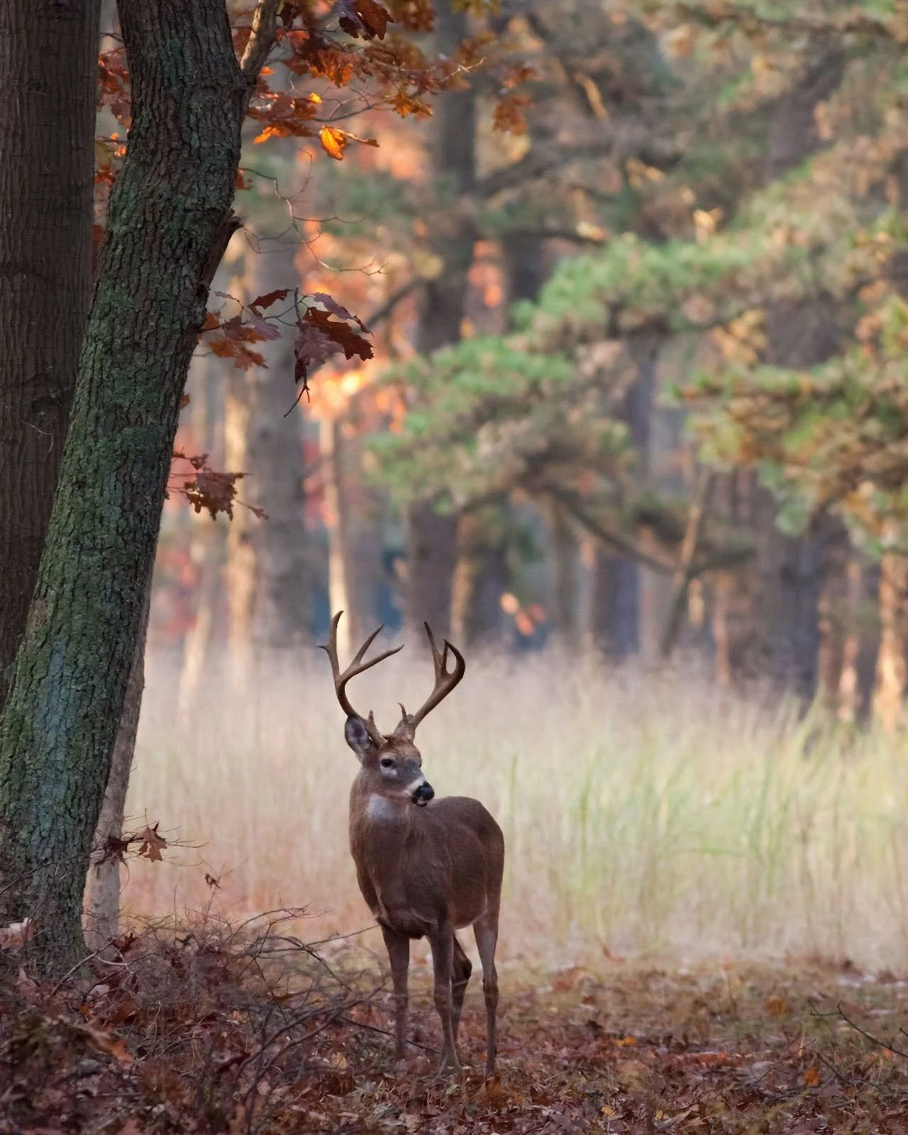 unnamed - 2026-03-26T101311.832.jpg