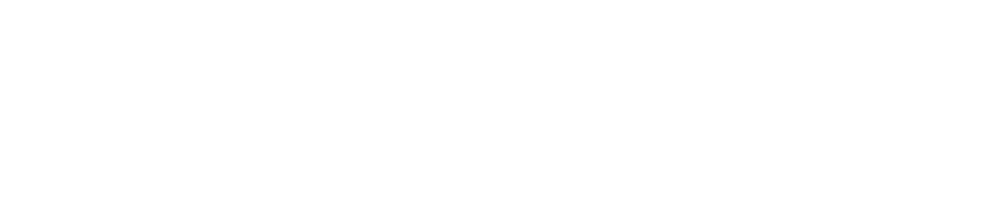 Logo for NVN Motorworks, featuring a stylized 'NW' and the words 'NVN Motorworks'