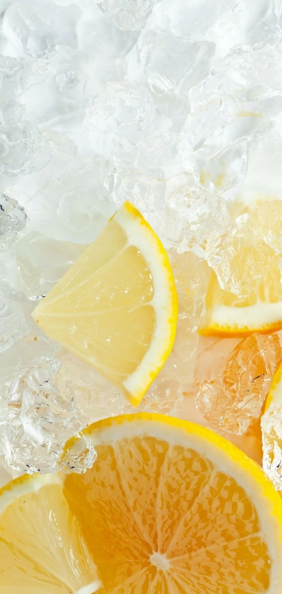 Close-up of lemon slices on top of ice cubes.