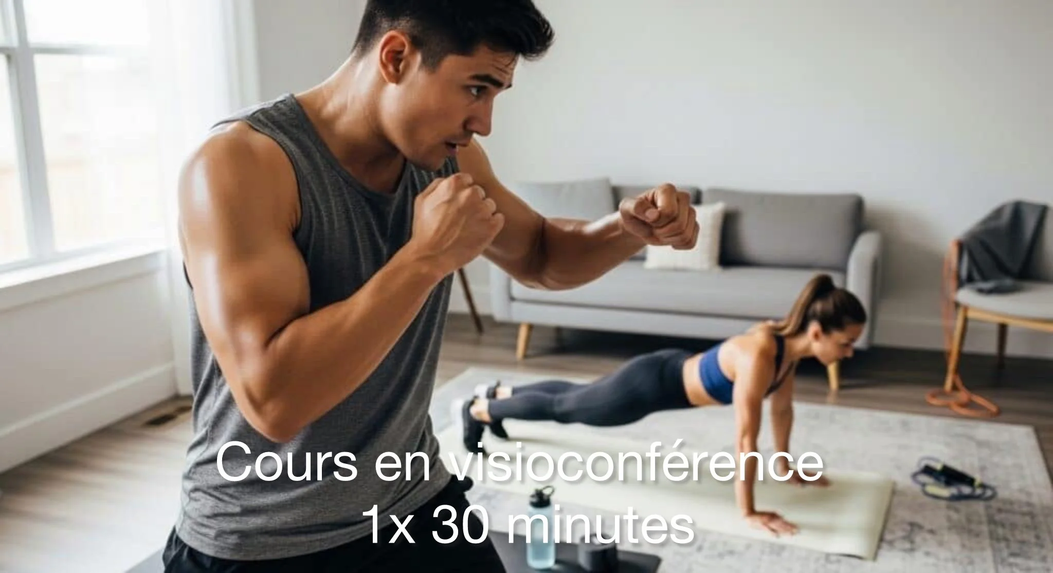 Cours en Visio (1x 30)