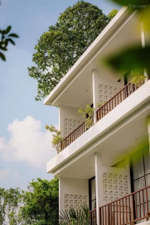 Modern white multi-story building with balconies, surrounded by trees and foliage, under a clear blue sky.