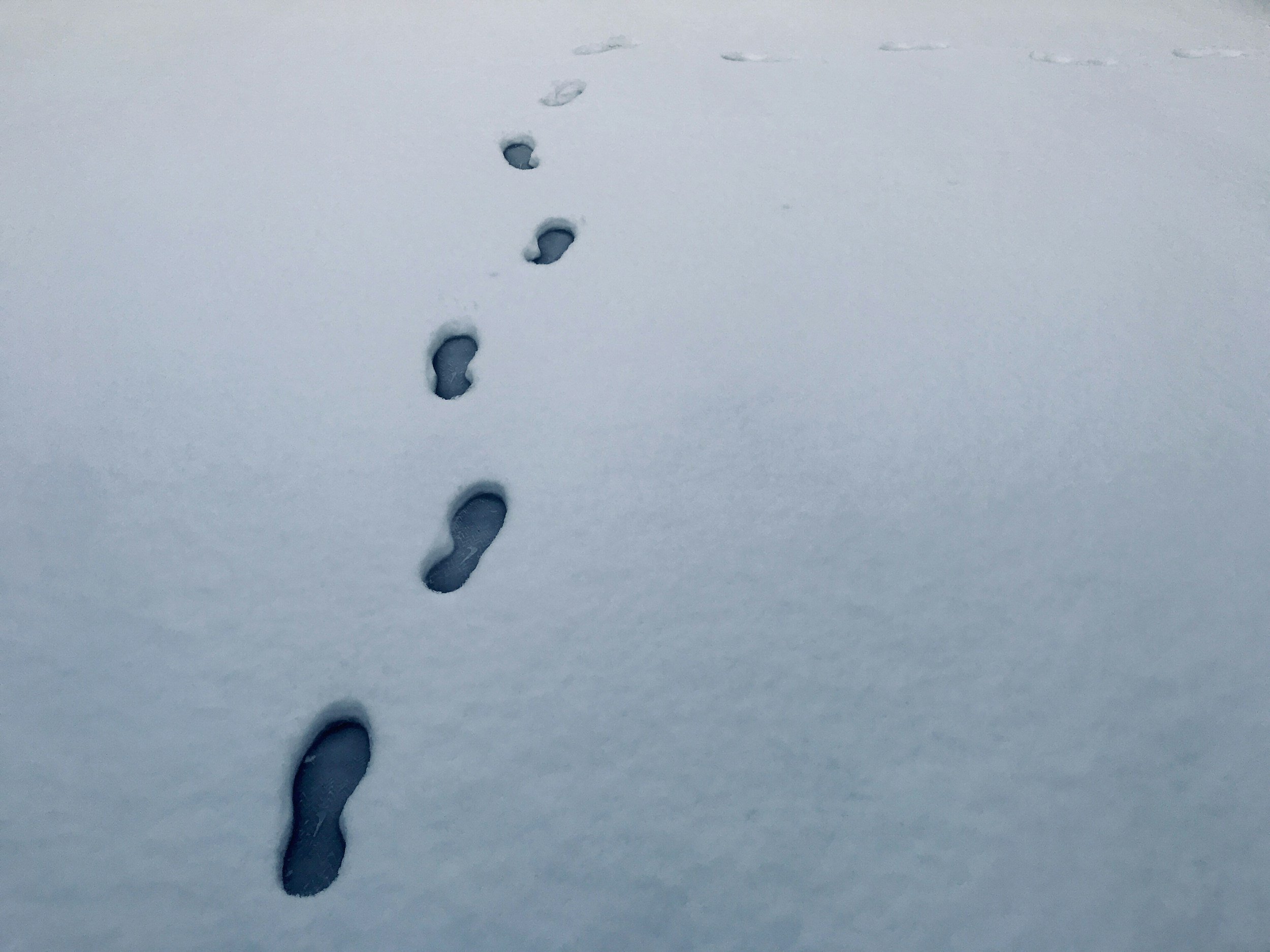 Footprints in the snow forming a trail.
