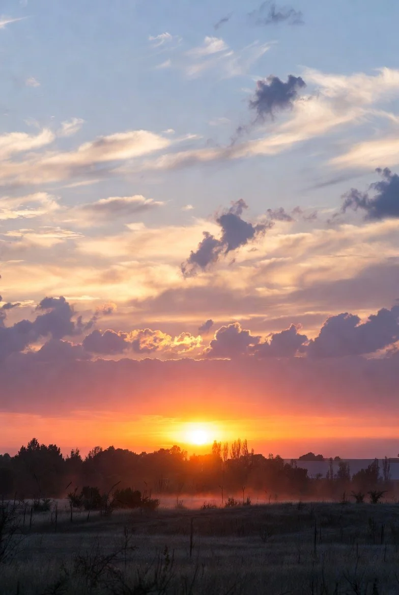 Why Eating Dinner Before Sunset Matters for Your Metabolism, Sleep, and Longevity