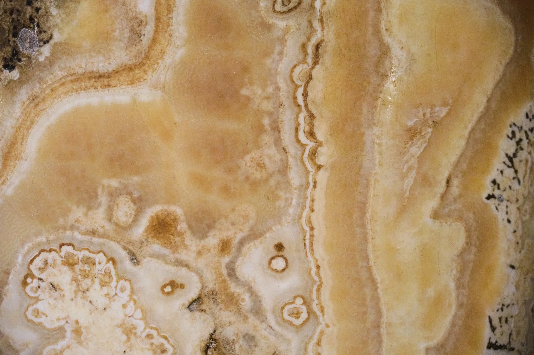 Close-up detail of warm amber onyx marble surface inside the Basilica di San Paolo Fuori le Mura, veining and translucency visible in natural light.