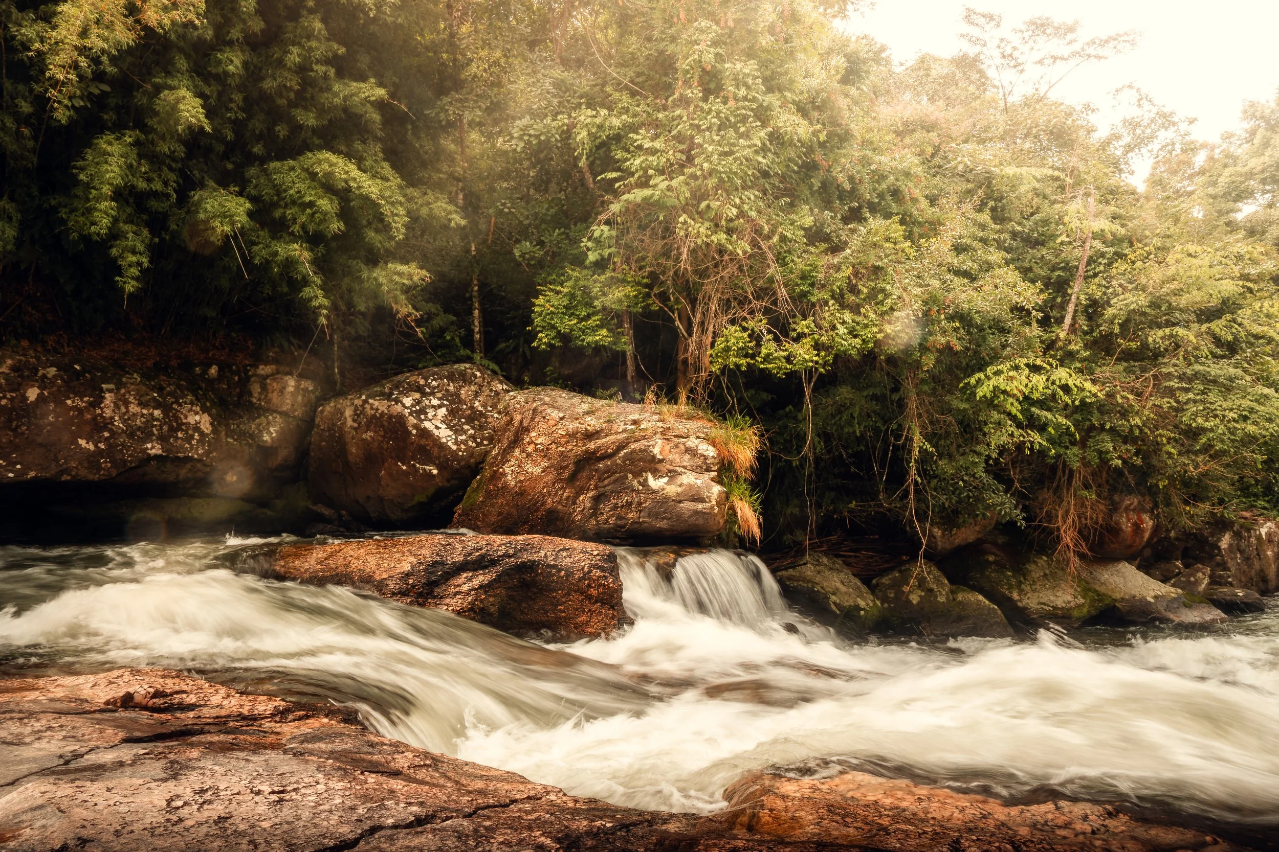 Brazil - Lumiar - 20250531 - 061-RAF_DxO_DeepPRIME.jpg
