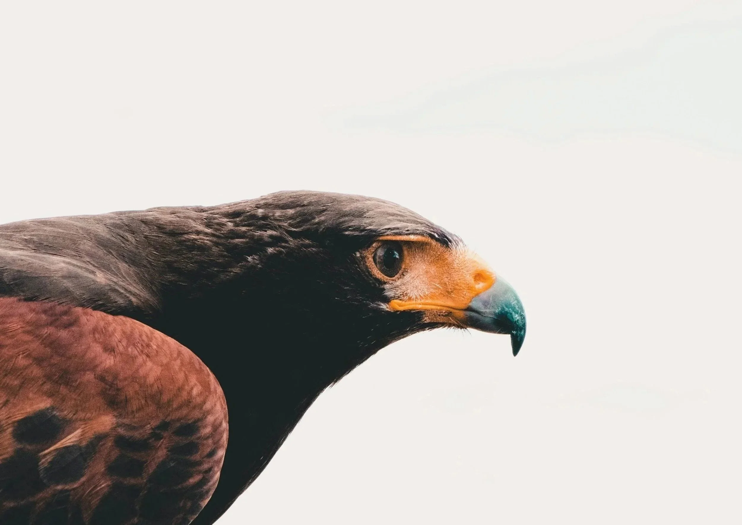 Focus, clarity, visibility – for architects, designers &amp; creatives