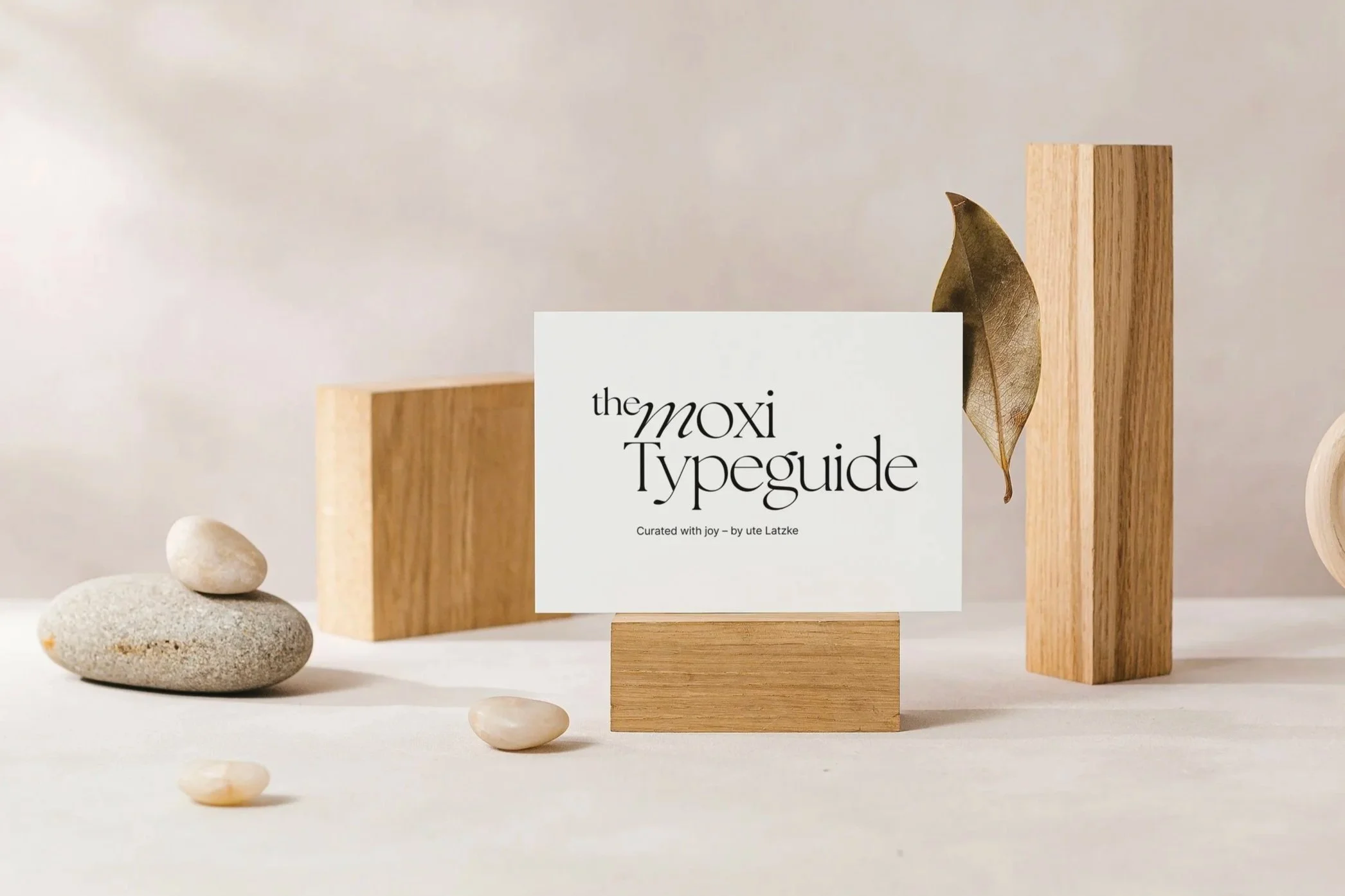 Schwarzer Text auf weißer Karte: "the moxi Typeguide", umgeben von Holzblöcken, Steinen und einem getrockneten Blatt.