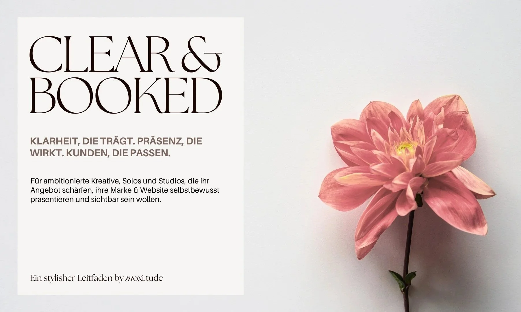 Grafik mit dem Titel "CLEAR & BOOKED" neben einer pinken Blume auf weißem Hintergrund.