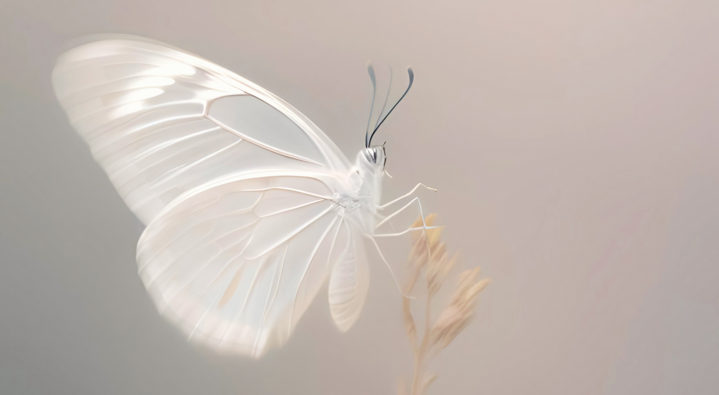 Schöner weißer Schmetterling auf Zweig, erstellt von canva Ki