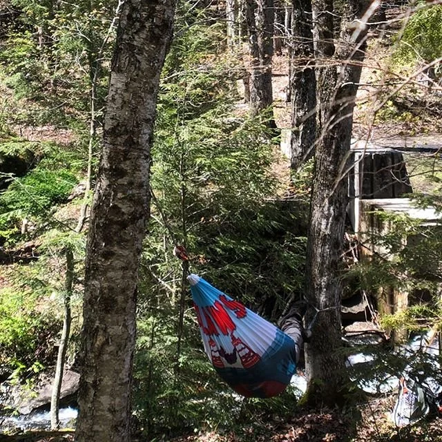 Loving this _terrapinoutfitters hammock chair. Sitting stream side watching the trout. #tenkaralife #troutfishing #nyfishing #tenkarafishi.jpg