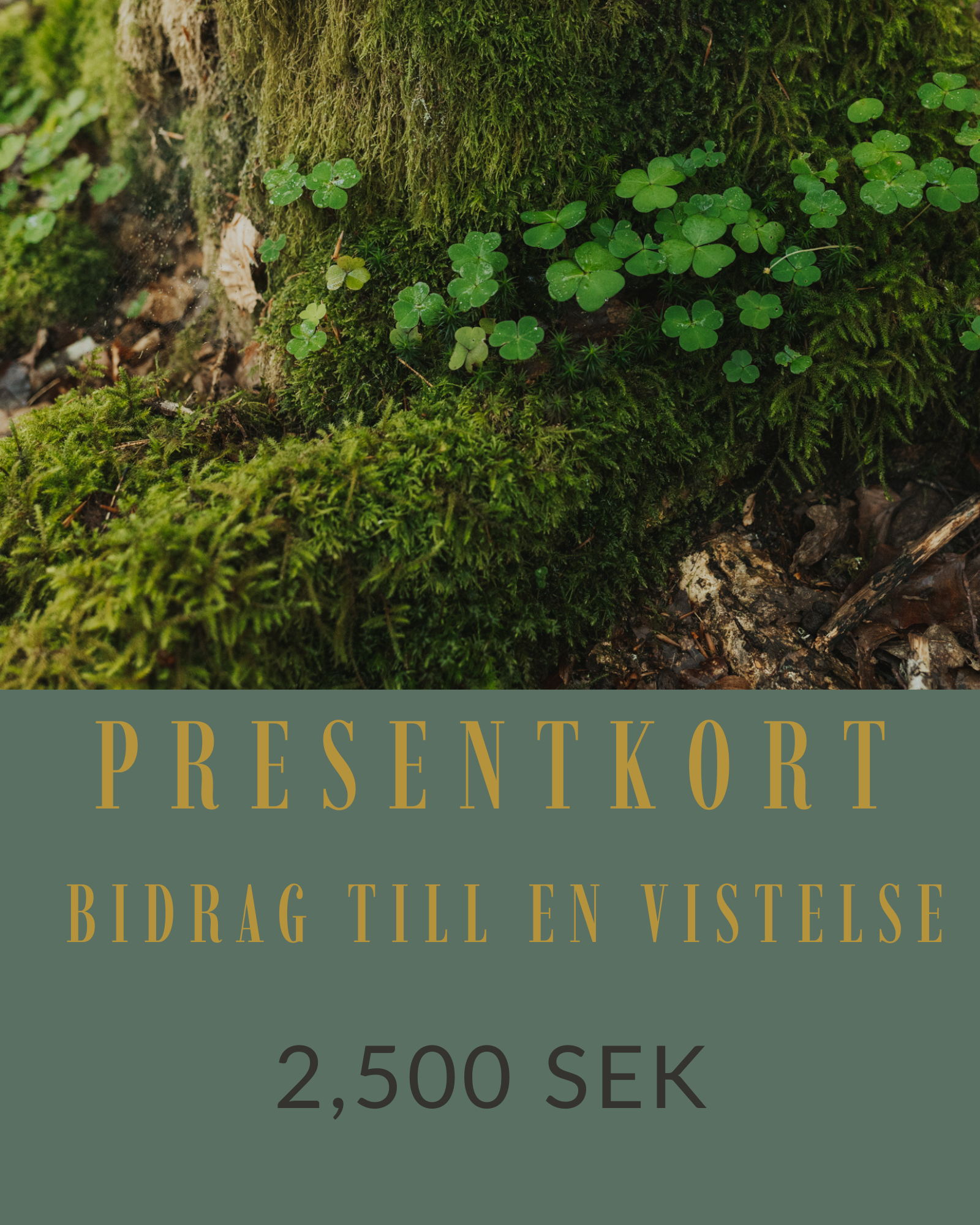 Presentkort – Bidrag till en vistelse (2 500 kr)