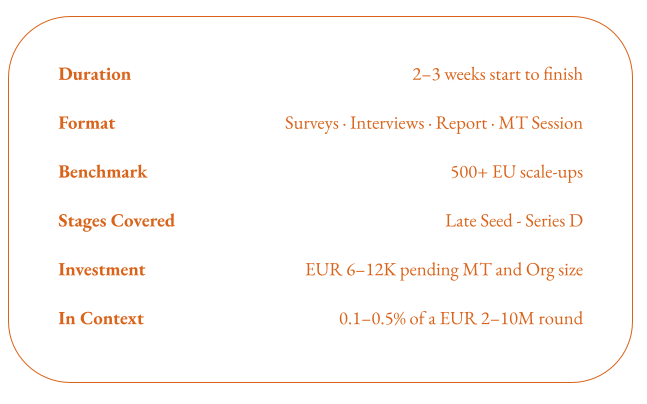 FABRIC Growth Assessment details — 2 to 3 weeks, surveys interviews report MT session, 500+ EU scale-ups benchmark, EUR 6 to 12K investment