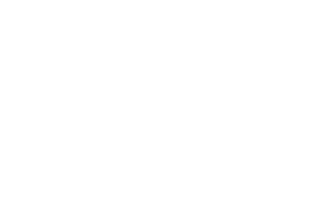 FABRIC Growth Assessment details. 2-3 weeks, format of surveys, interviews, report, and MT session, benchmark of over 500 EU scale-ups, stages covered in late seed series D, investment range of EUR 6K to 12K pending MT and org size.