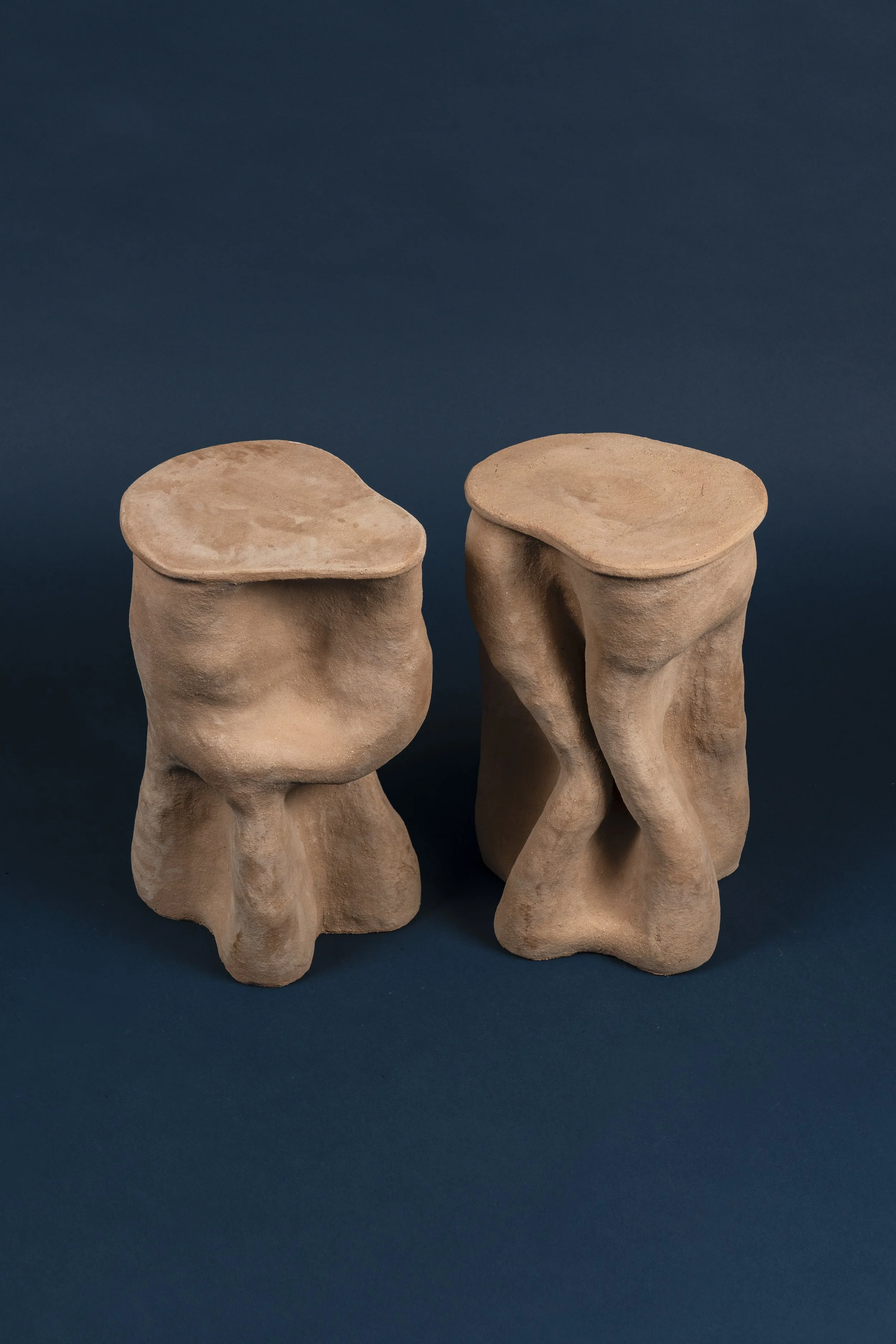 Pedestal_2_Clay_Overhead (3).jpg