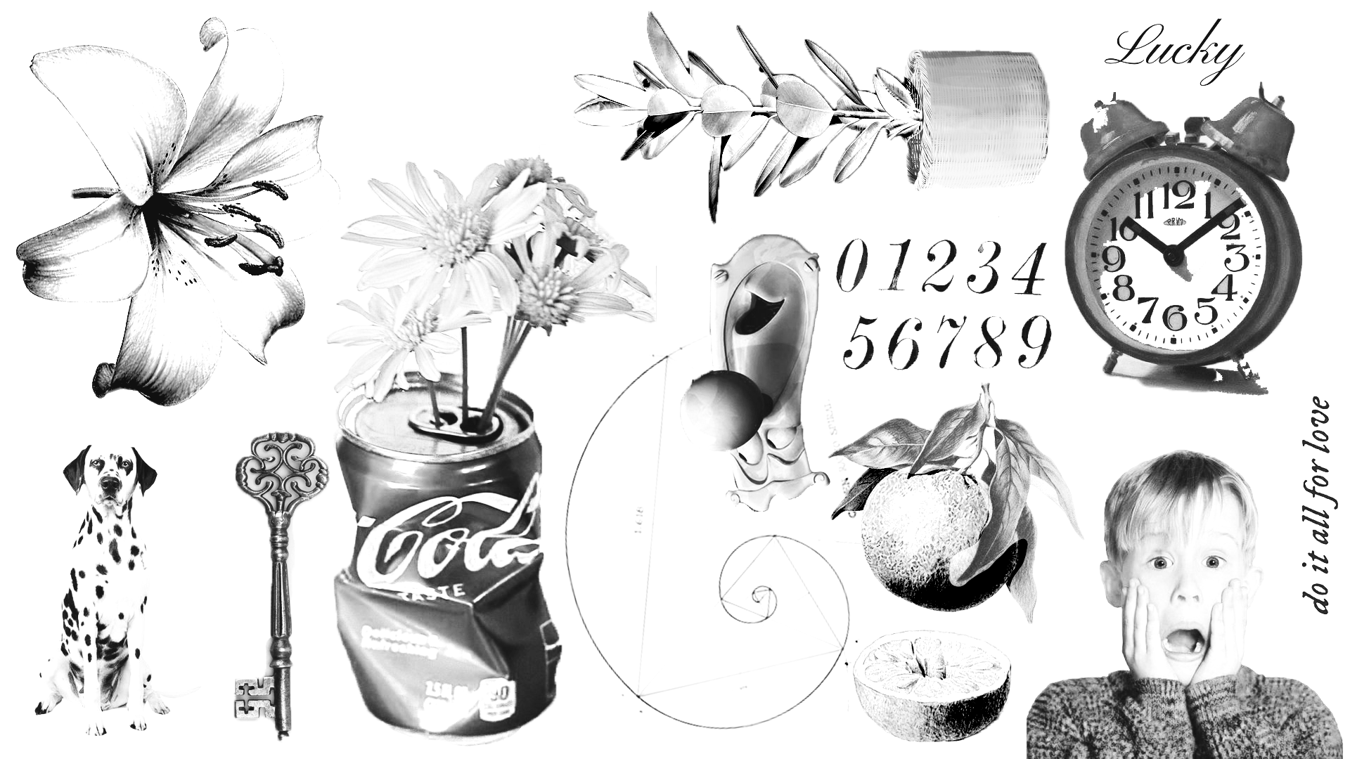 Mesa de trabajo 1.png