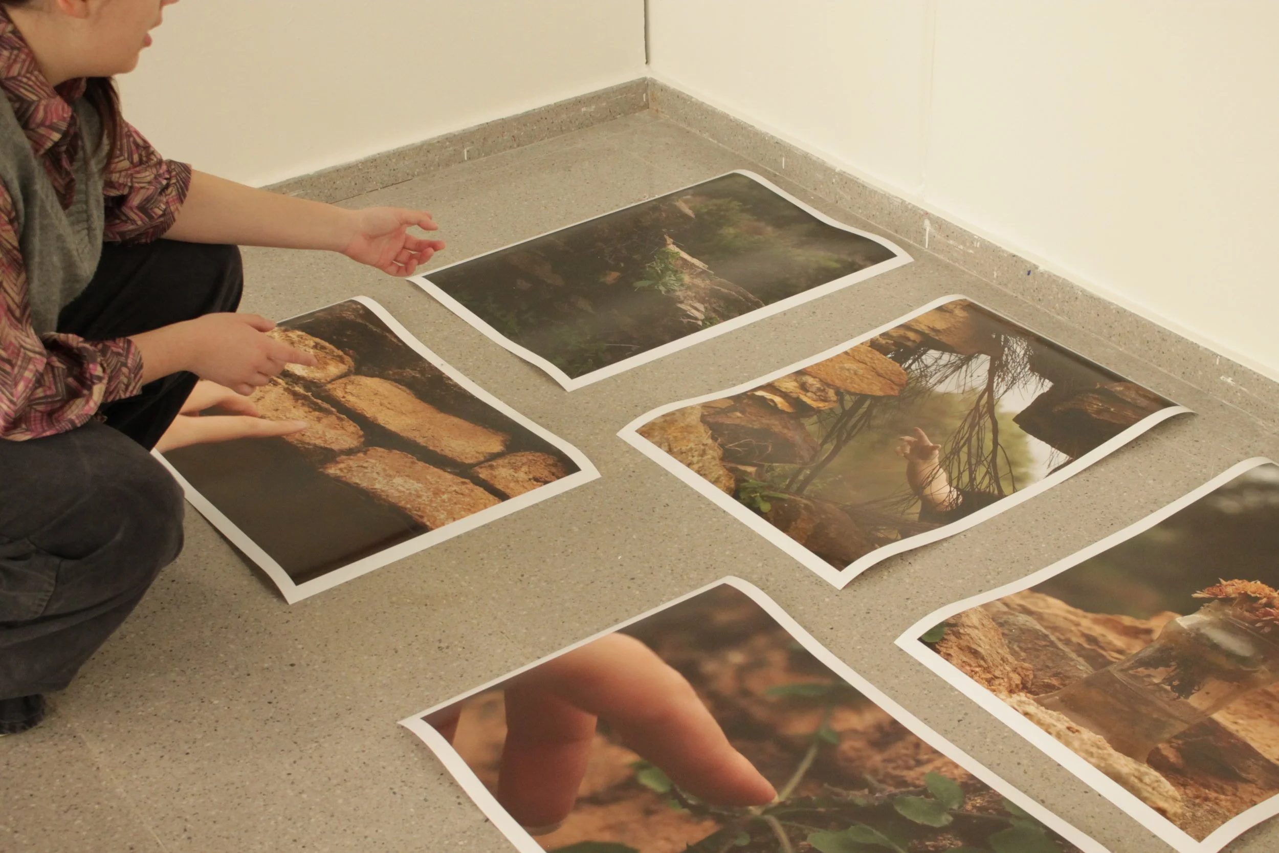 Niña colocando fotos impresas de paisajes y naturaleza en el suelo de una sala.