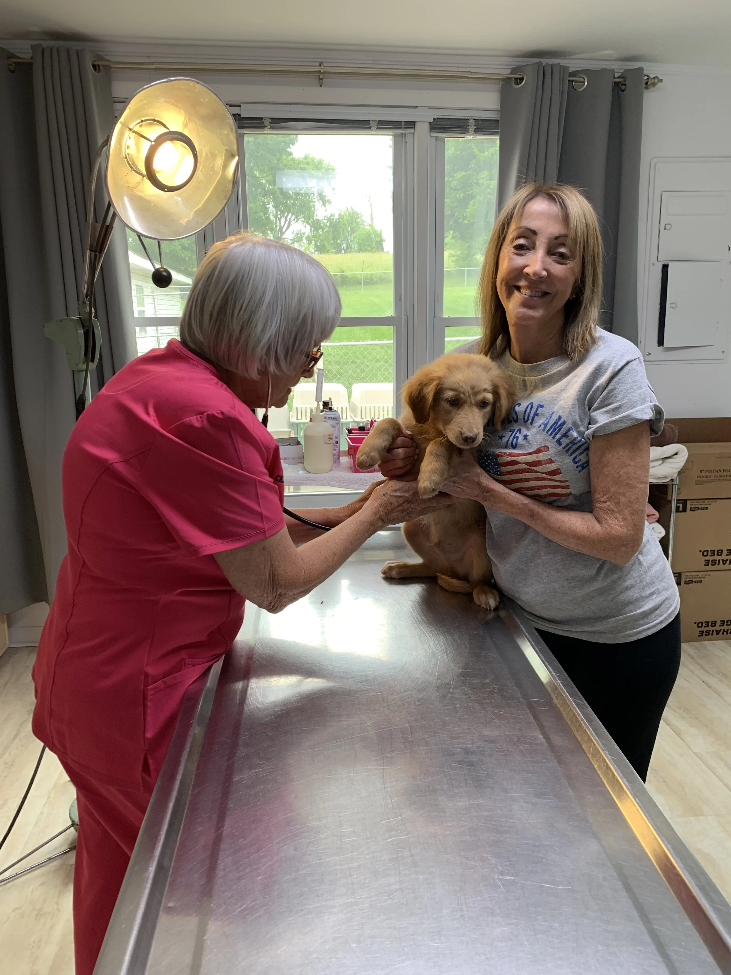 A woman in a gray t-shirt holding a puppy at a veterinary clinic or animal hospital, with a veterinarian in pink scrubs examining the puppy, and a window in the background.
