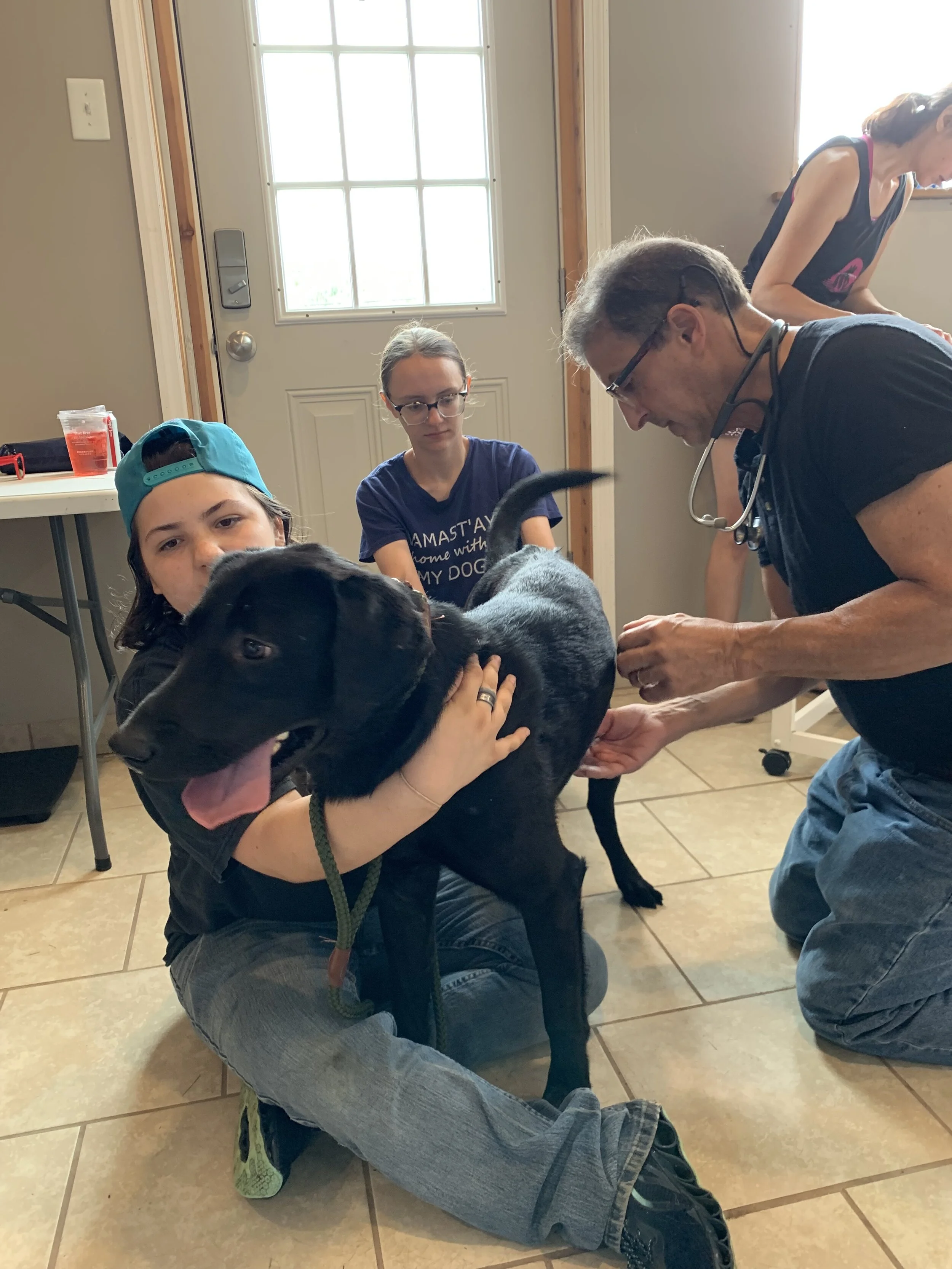 A young girl sitting on the floor holding a black puppy, with two women and a man, a veterinarian, examining the puppy in a room with a door and window in the background.