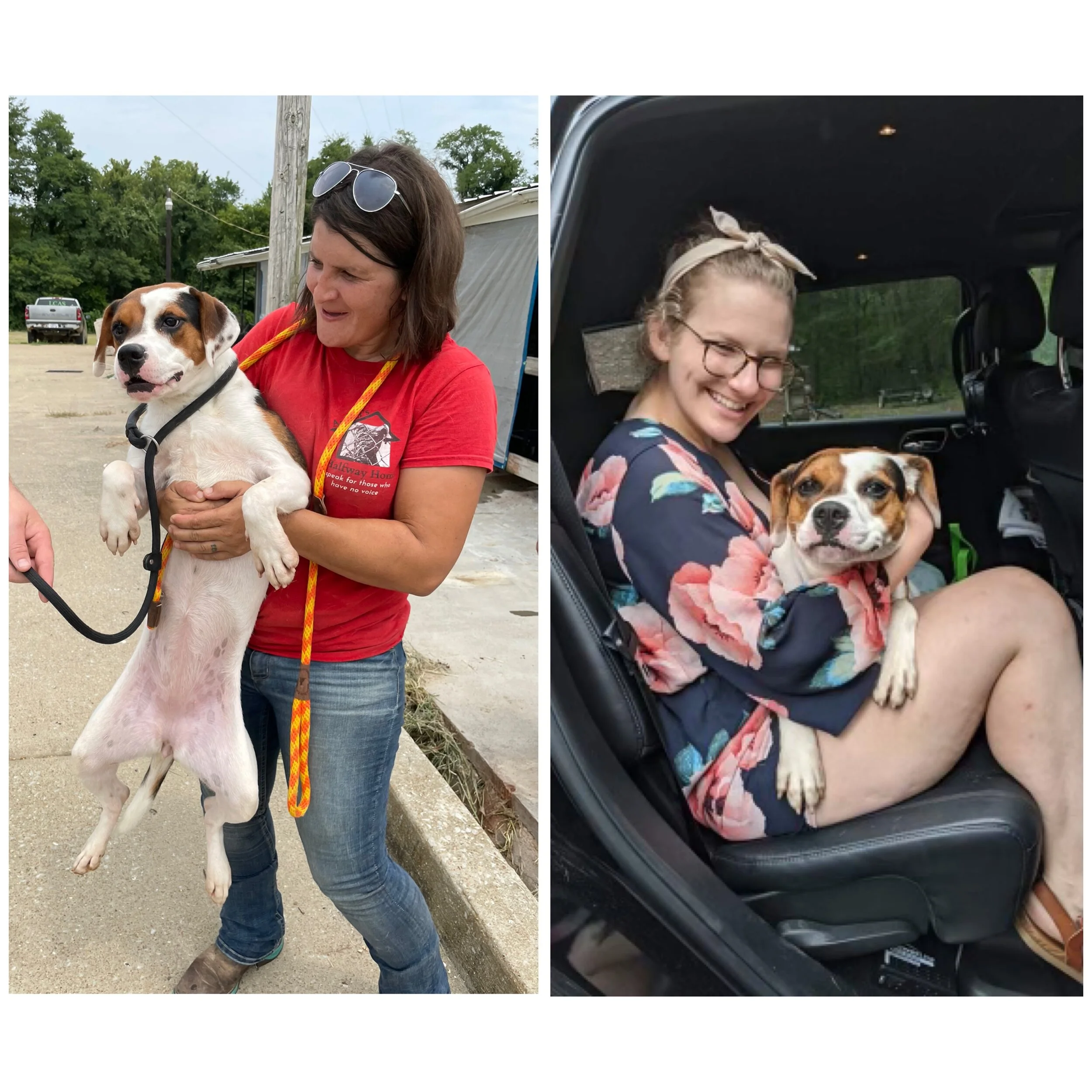 Two women each holding a small dog, one woman standing outdoors and the other sitting inside a vehicle, both women smiling with the dogs in her arms.